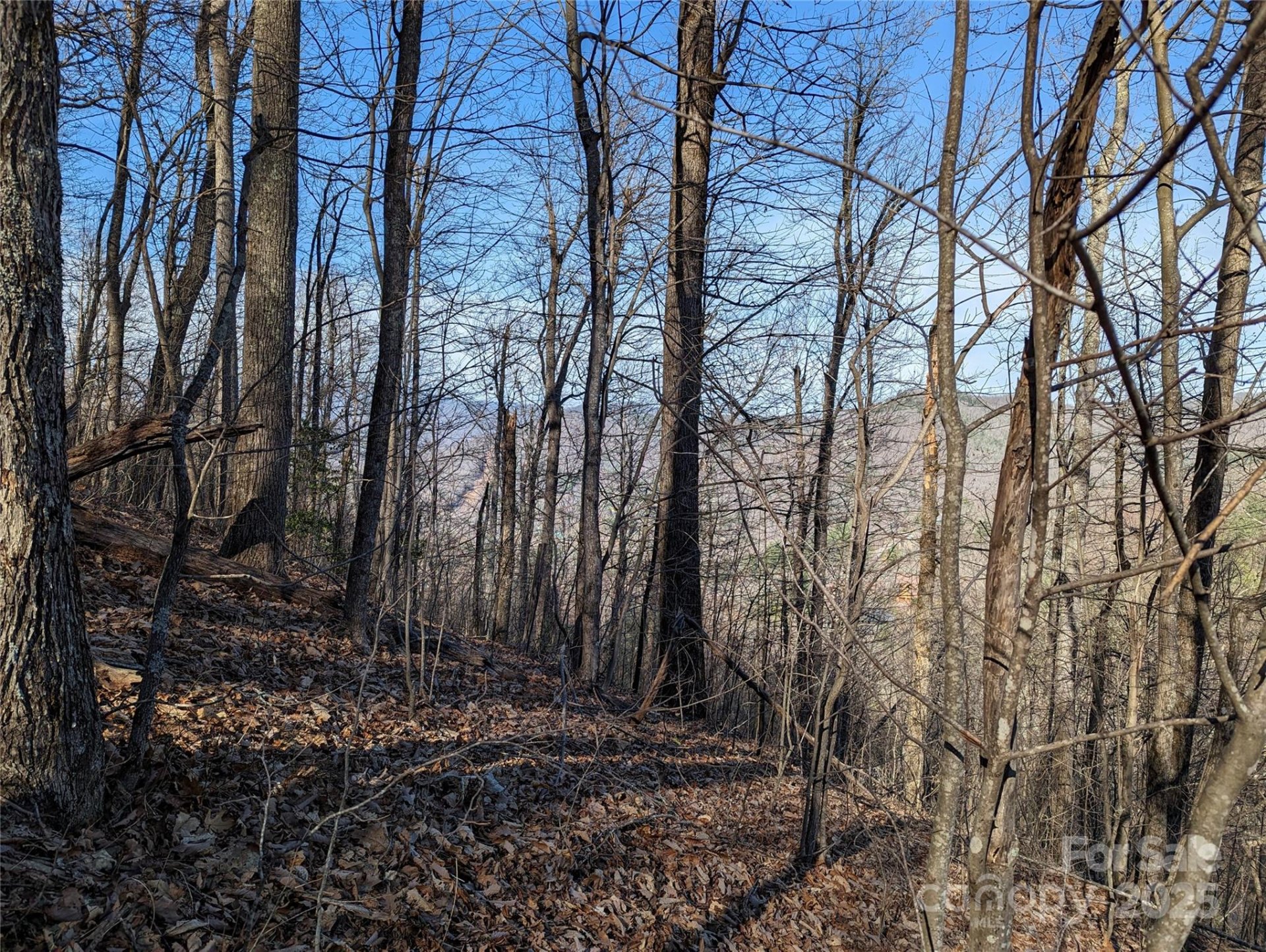 Property image 4 at 37 Old Greybeard Loop, Black Mountain, NC 28711
