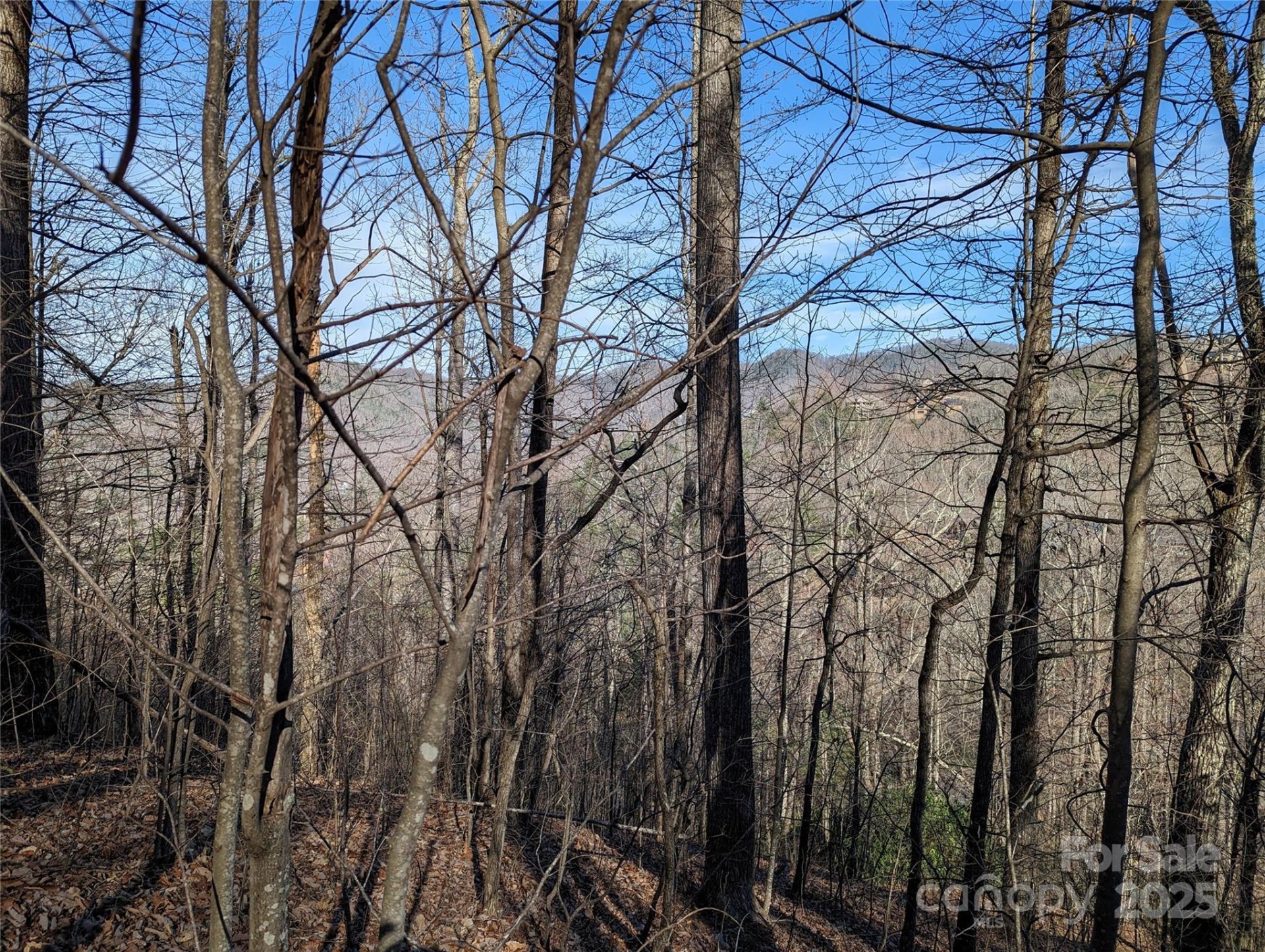 Property image 5 at 37 Old Greybeard Loop, Black Mountain, NC 28711