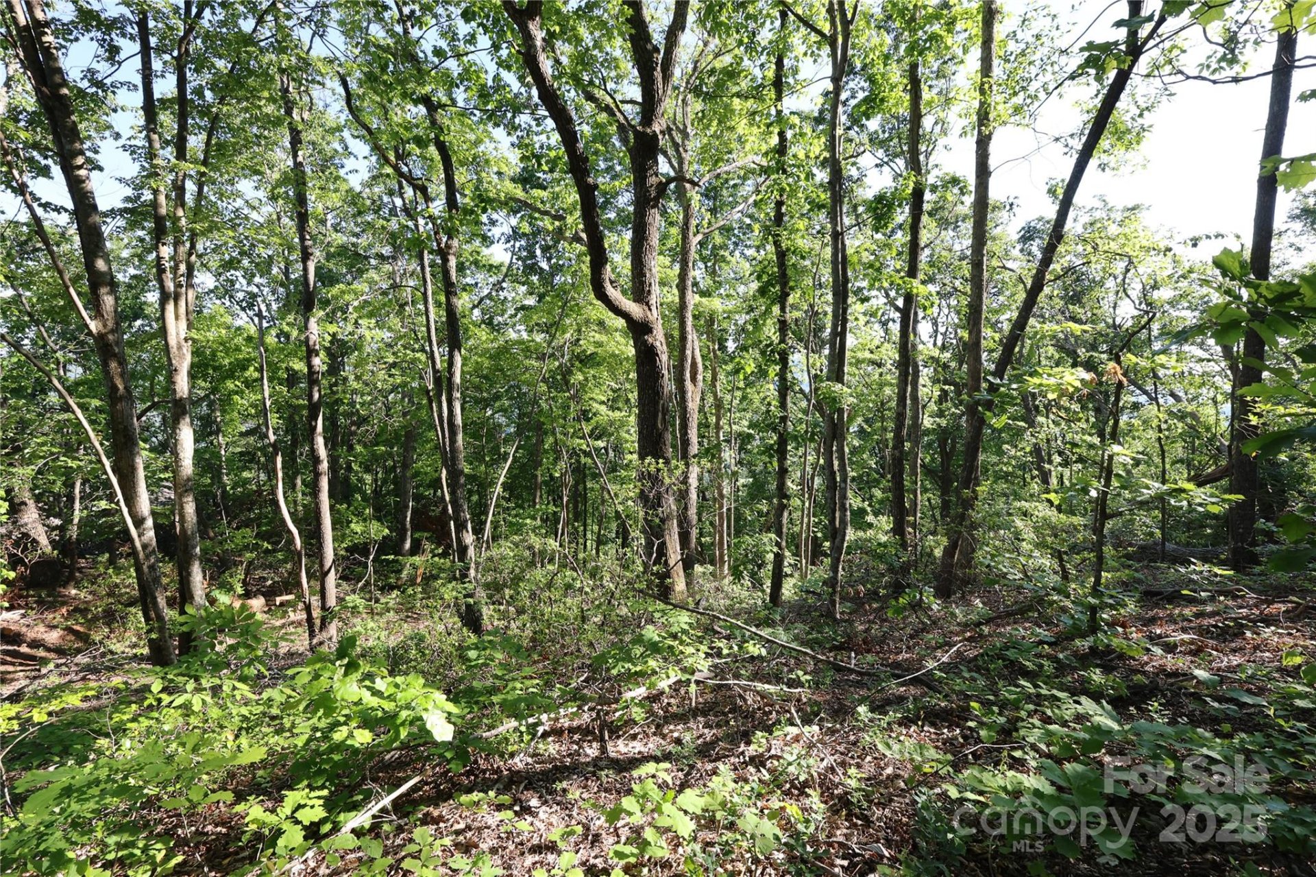 Property image 1 at 9999 Crestview Drive, Black Mountain, NC 28711