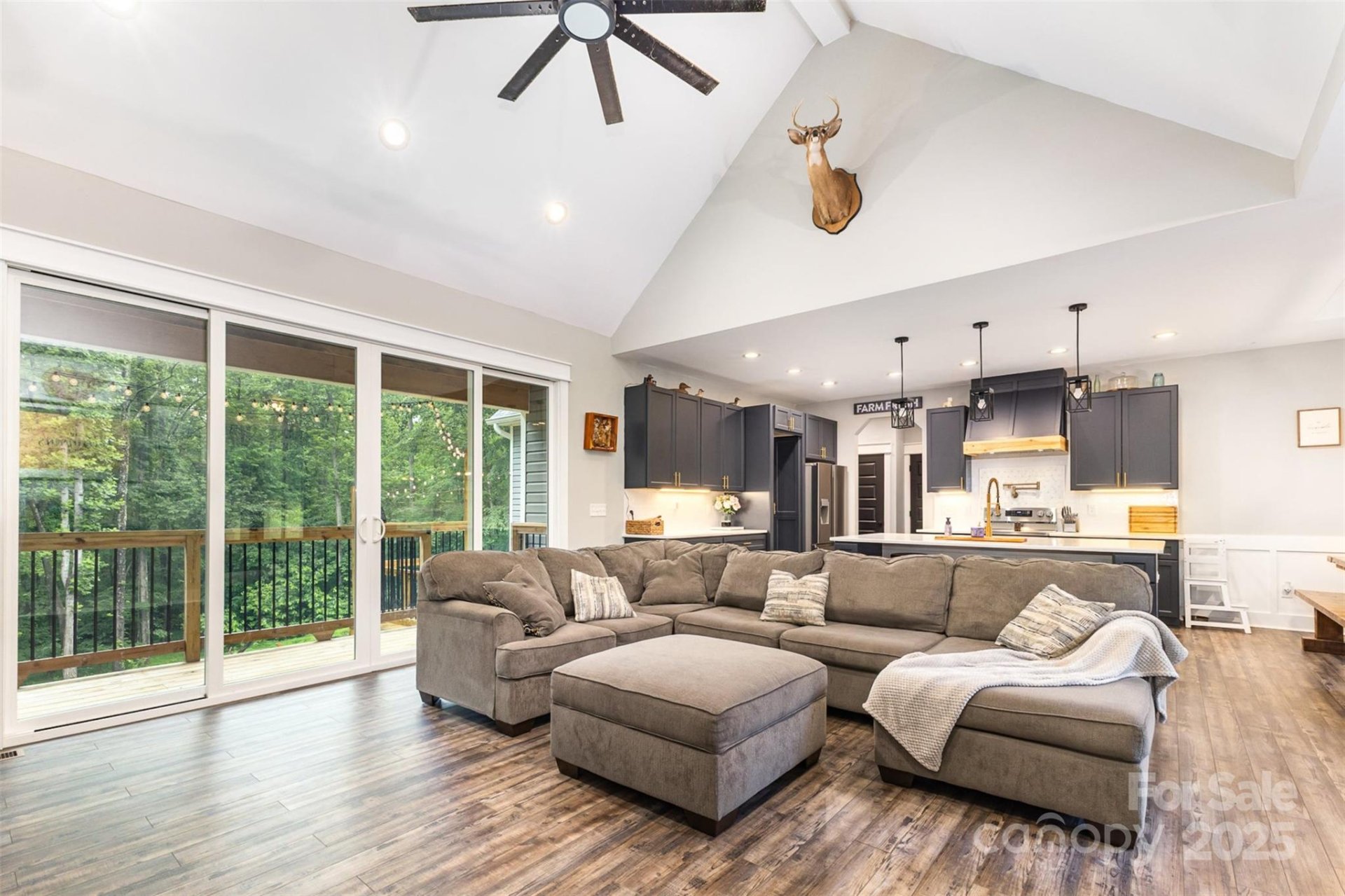 Property image 3 at 5215 Star Magnolia Court, Clover, SC 29710