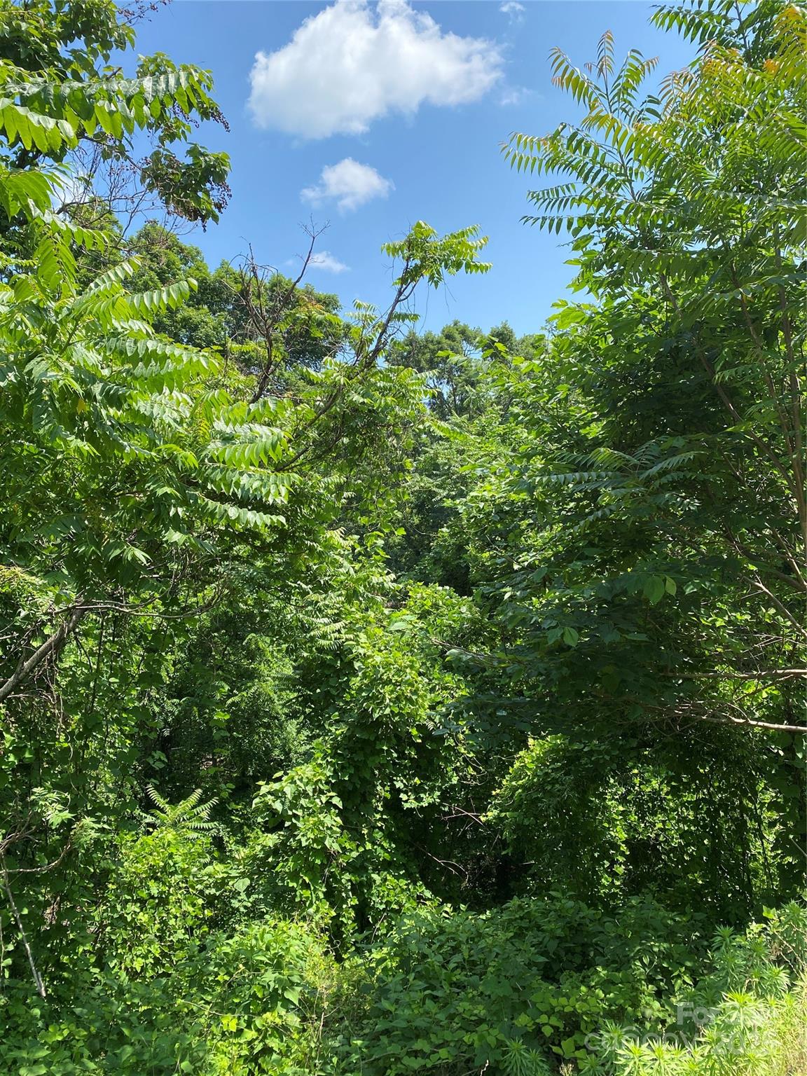 Property image 3 at Lot 13 Highlands Drive, Lake Lure, NC 28746