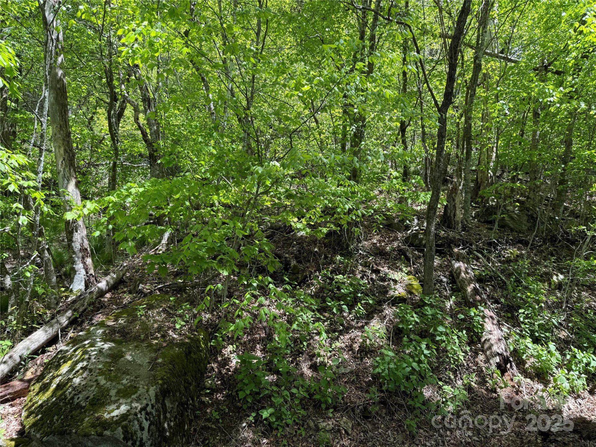 Property image 2 at 19 Wakeman Way Way, Banner Elk, NC 28604