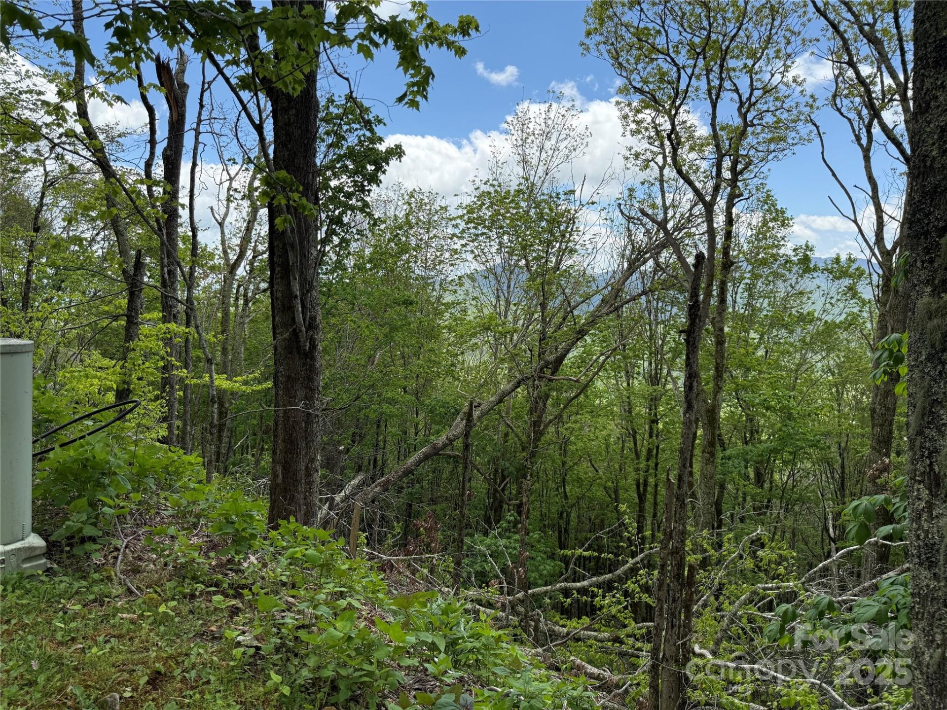Property image 3 at 19 Wakeman Way Way, Banner Elk, NC 28604