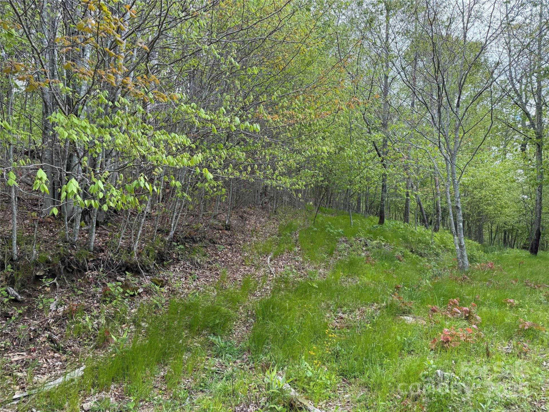 Property image 3 at 4 Fox Pointe Drive, Banner Elk, NC 28604