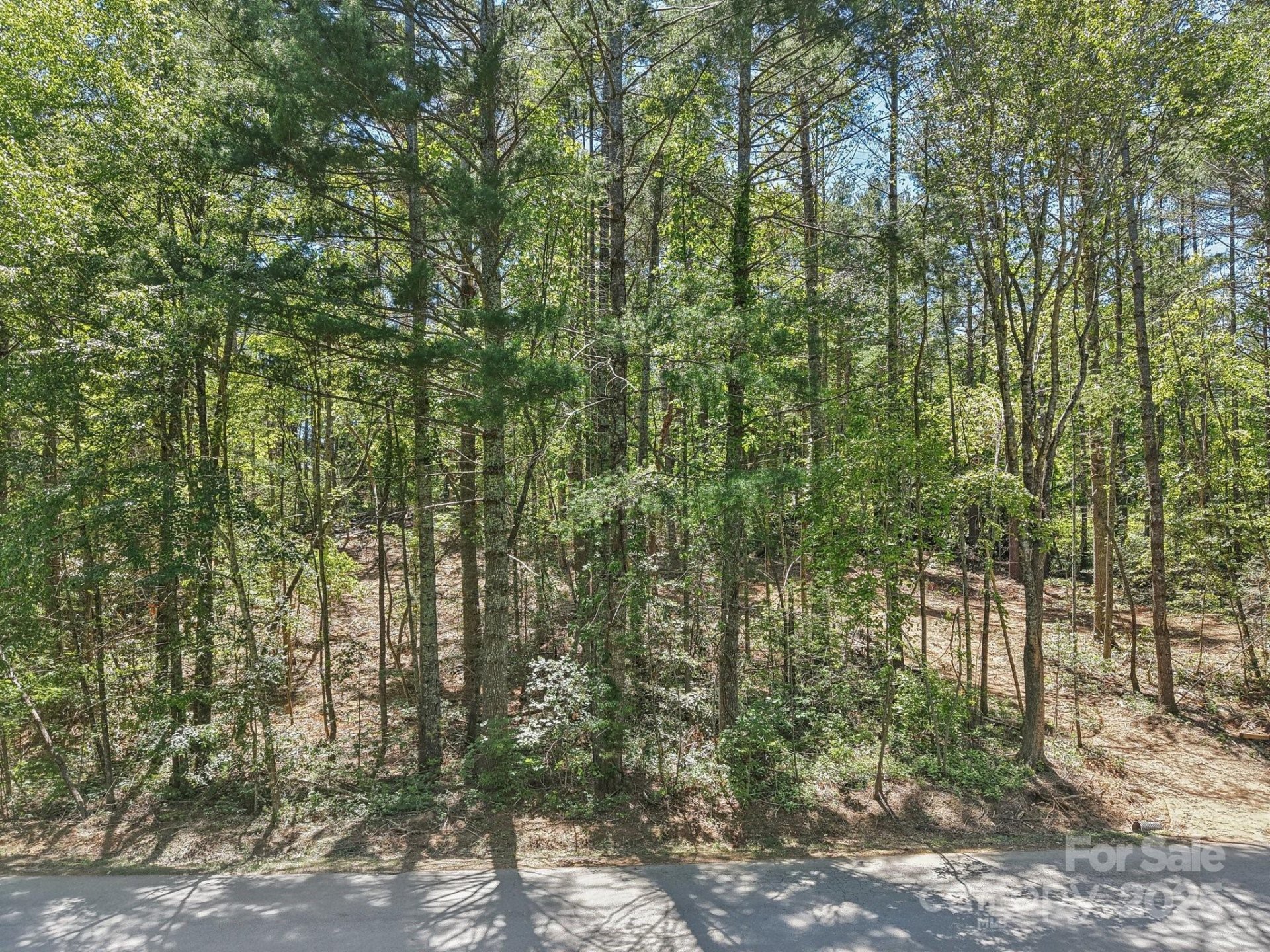 Property image 5 at 000 Ravenwood Drive, Fletcher, NC 28732