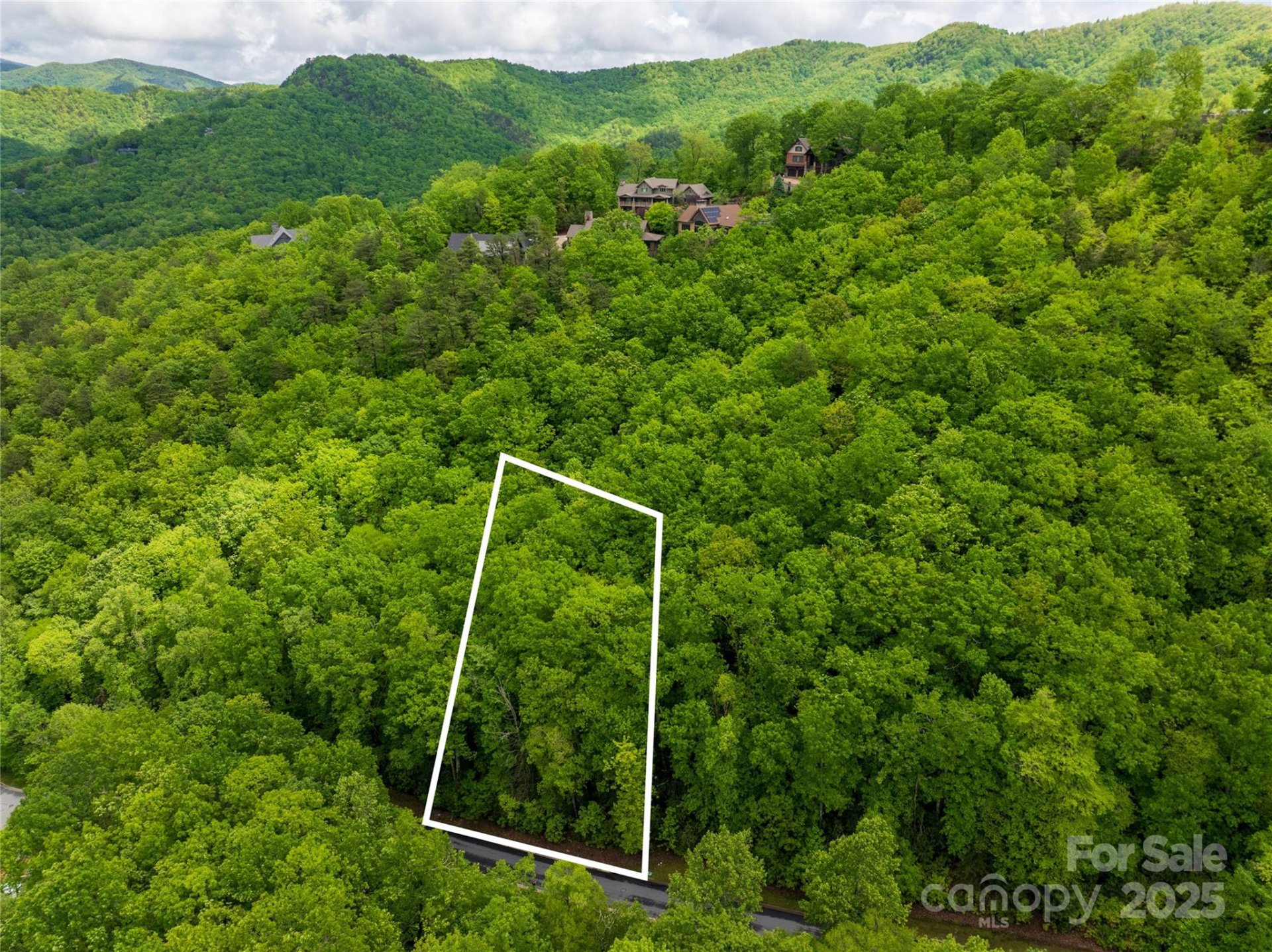 Property image 2 at 52 Settings Boulevard, Black Mountain, NC 28711