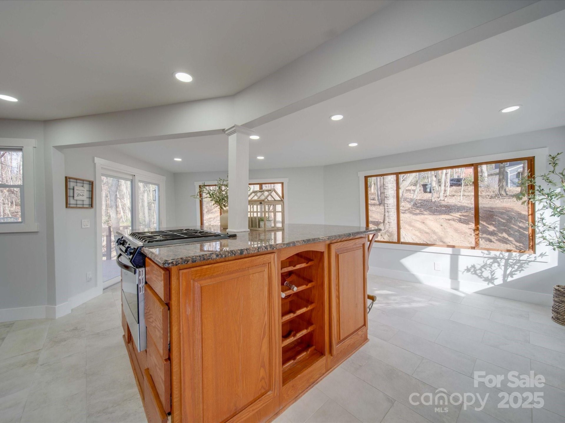 Property image 2 at 2143 Manawa Lane, Tega Cay, SC 29708