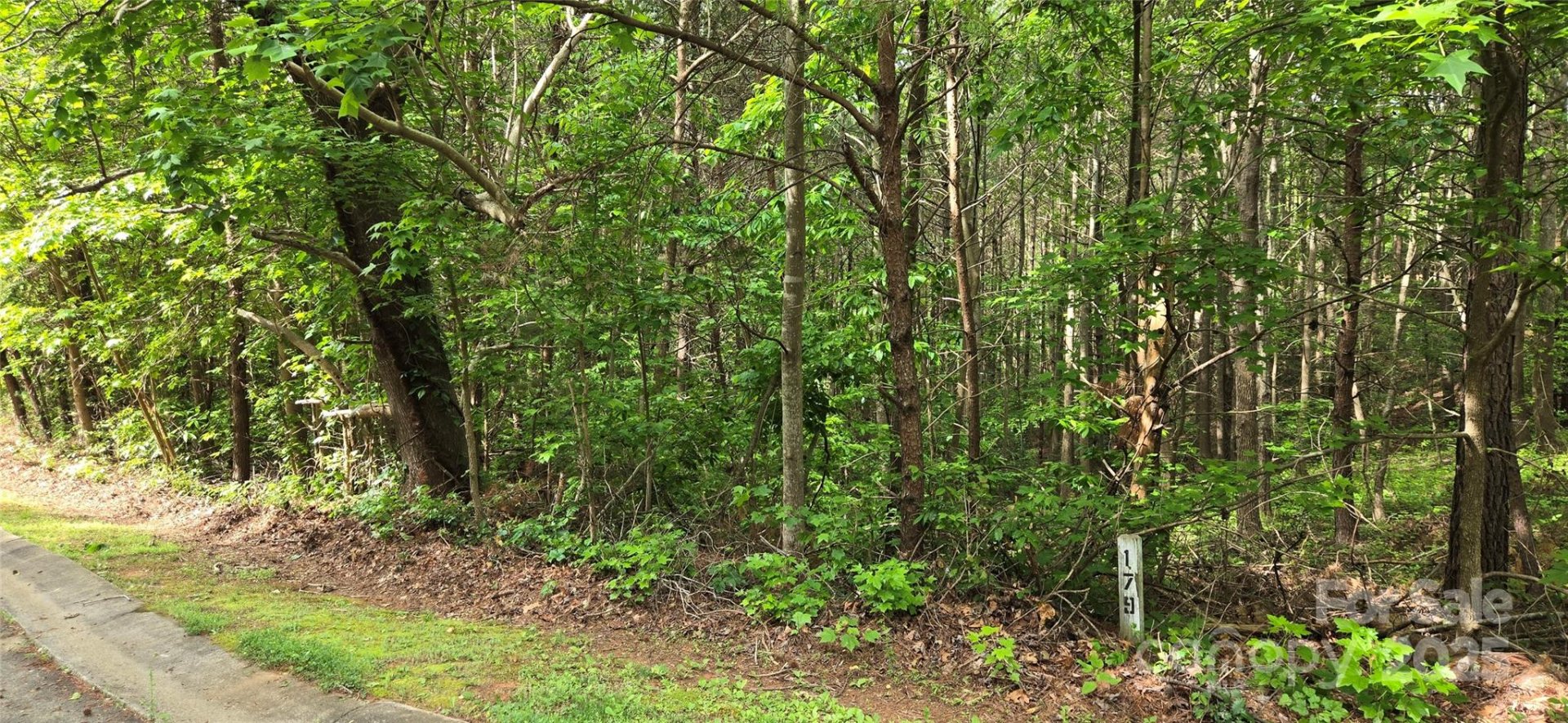Property image 4 at 1590 Hawks Pointe Lane, Morganton, NC 28655