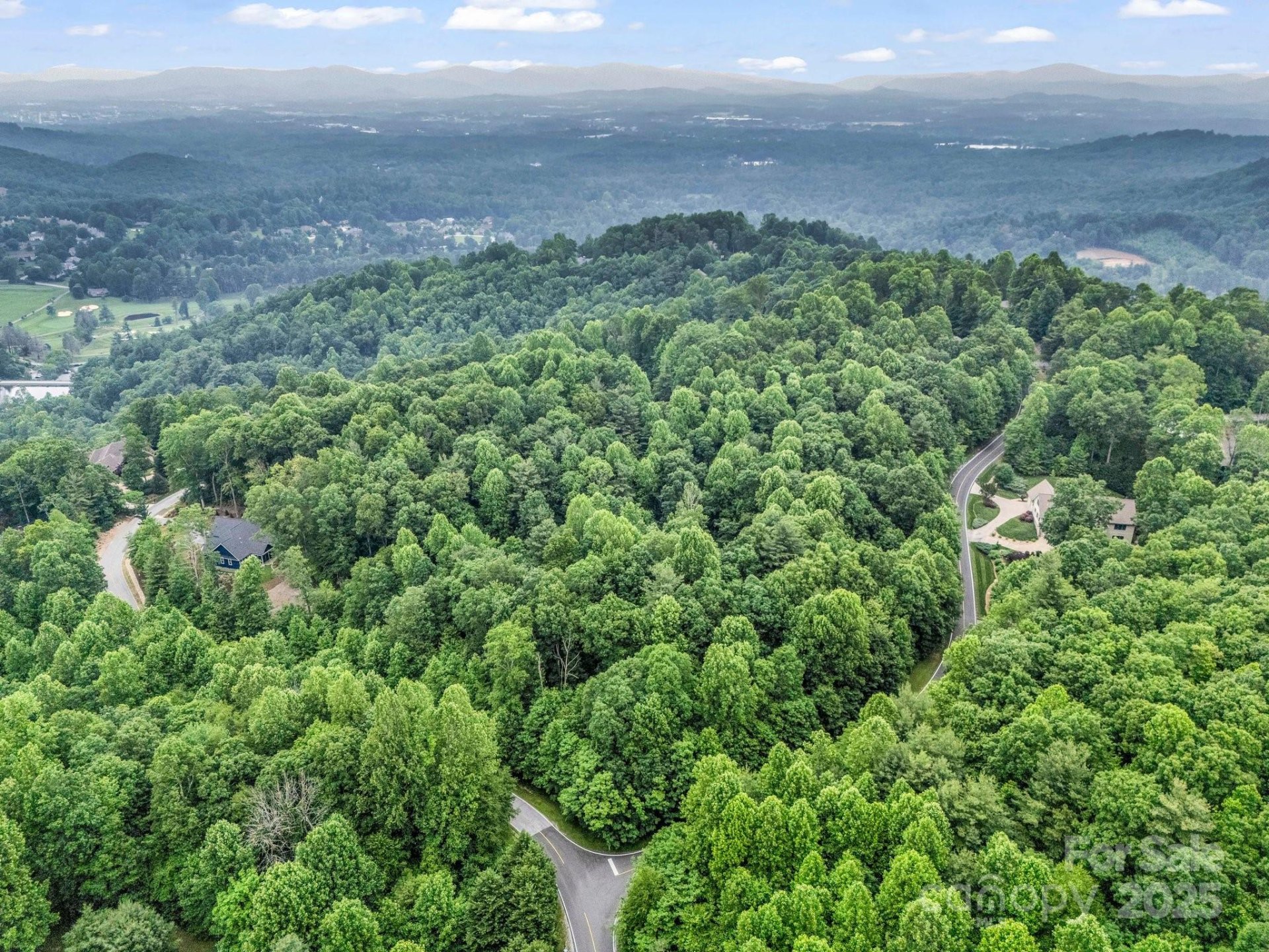 Property image 2 at 168 Tarnhill Drive, Flat Rock, NC 28731