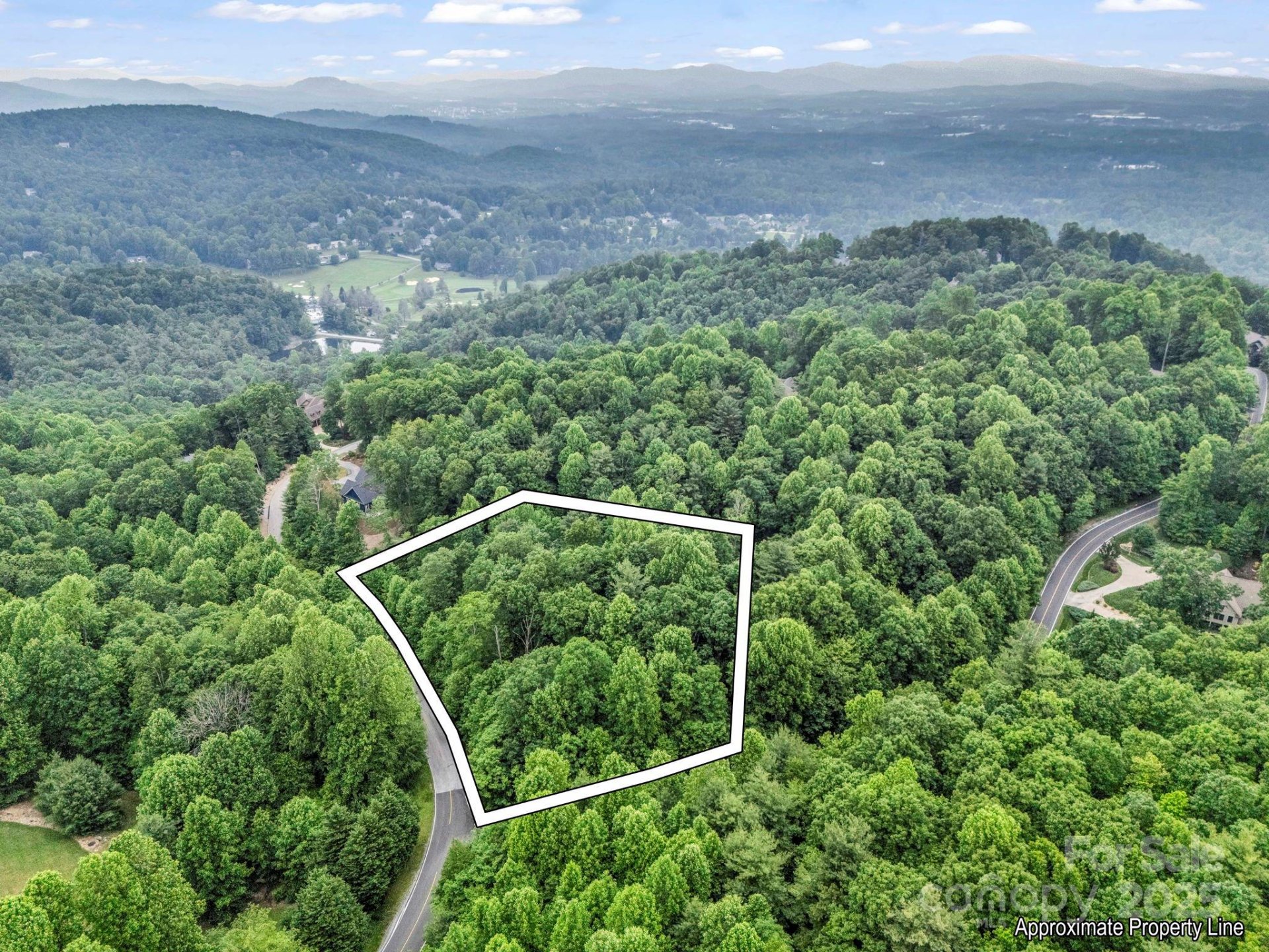 Property image 3 at 168 Tarnhill Drive, Flat Rock, NC 28731