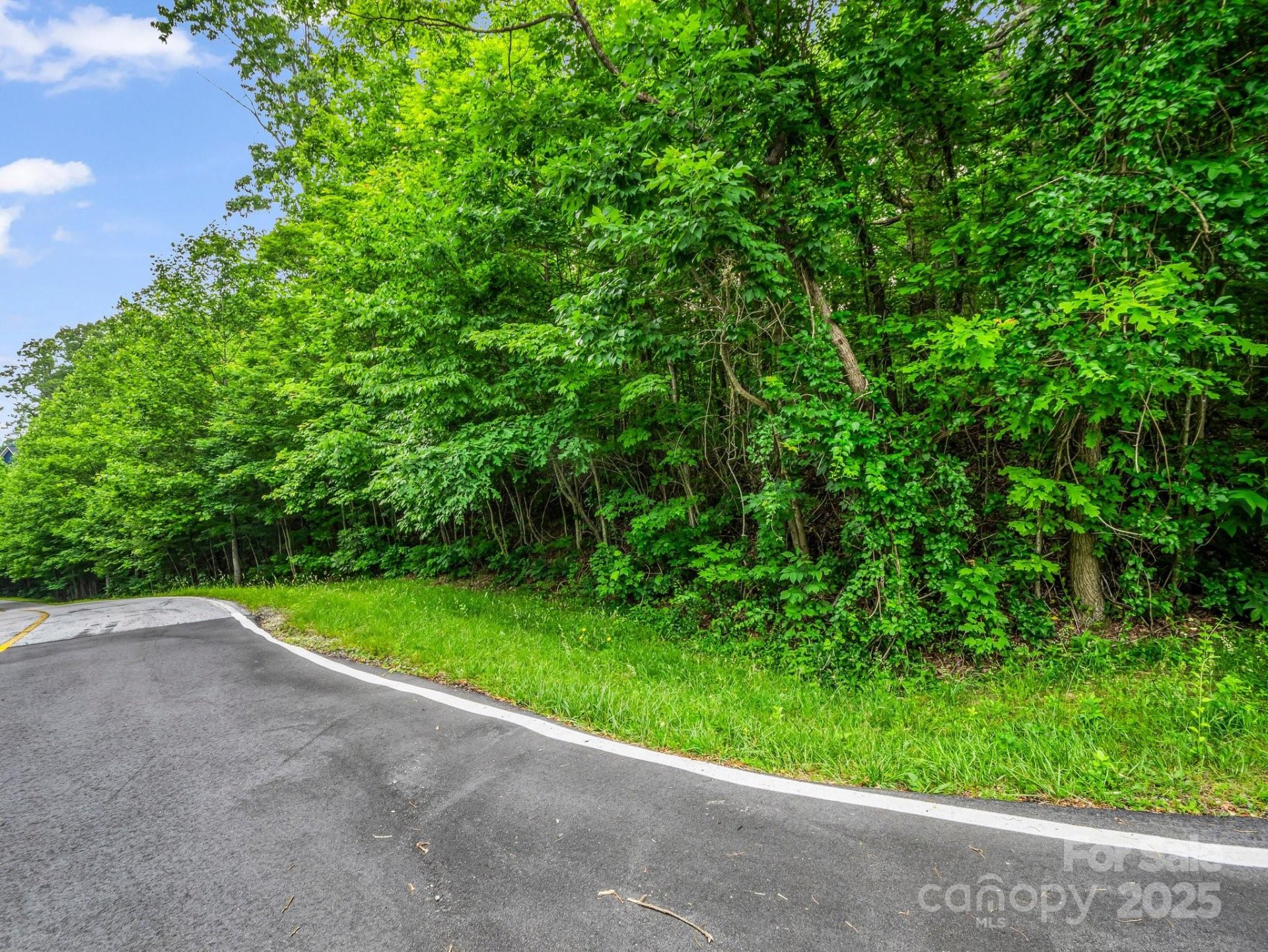 Property image 5 at 168 Tarnhill Drive, Flat Rock, NC 28731