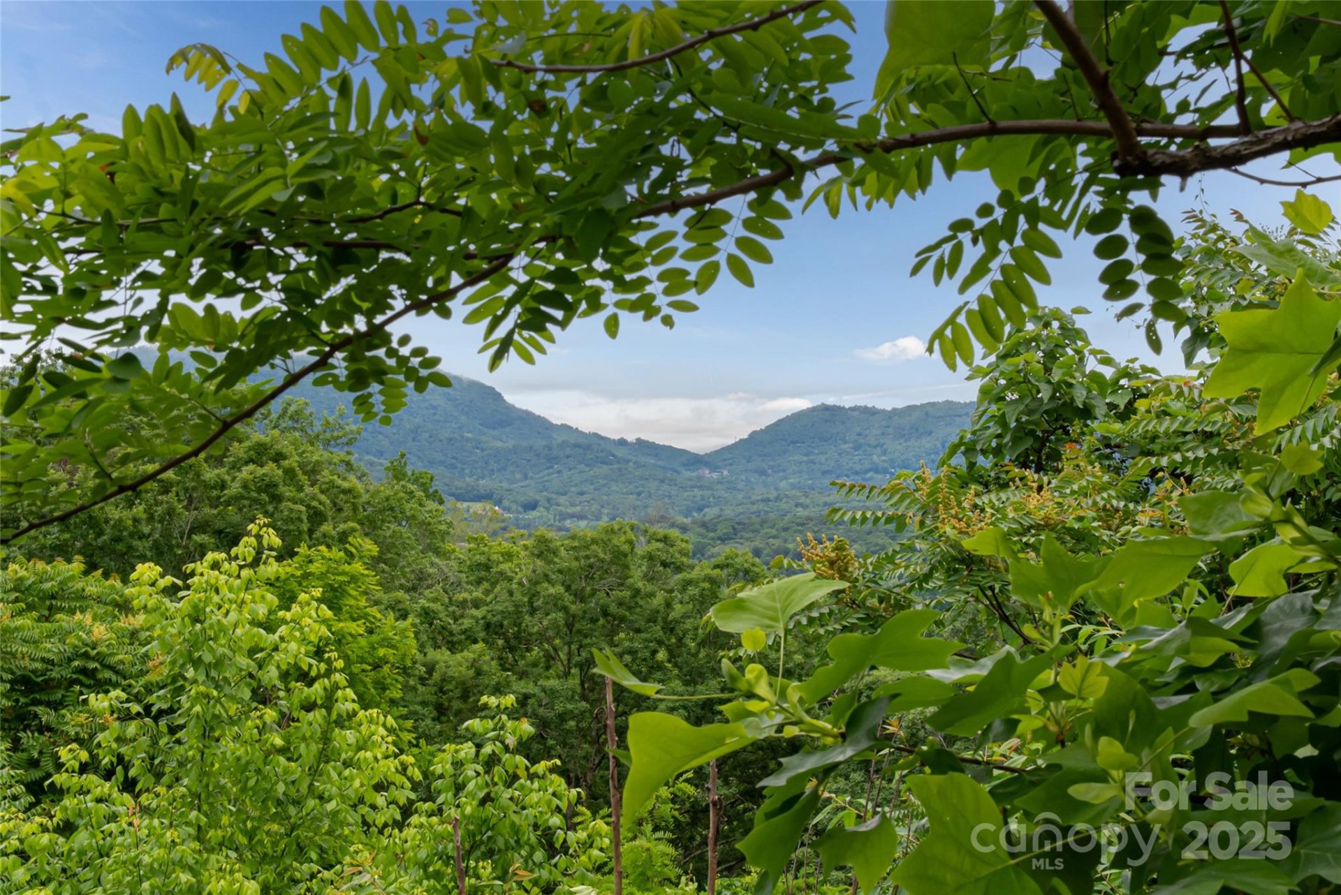 Property image 2 at 22 Samuel Ashe Drive, Asheville, NC 28805