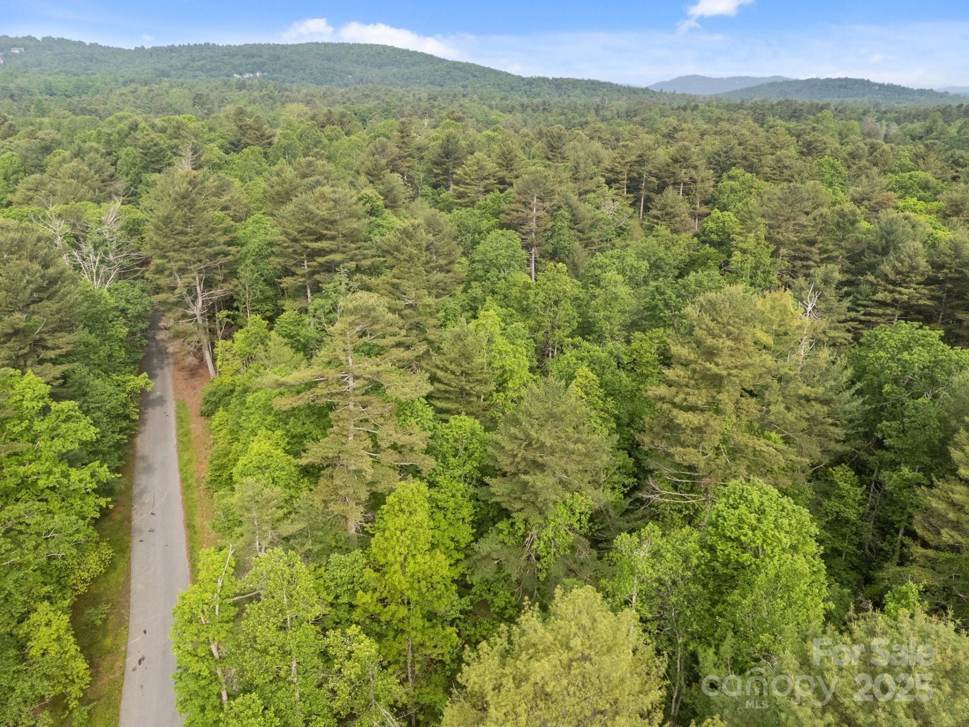 Property image 2 at 319 Red Fox Lane, Flat Rock, NC 28731