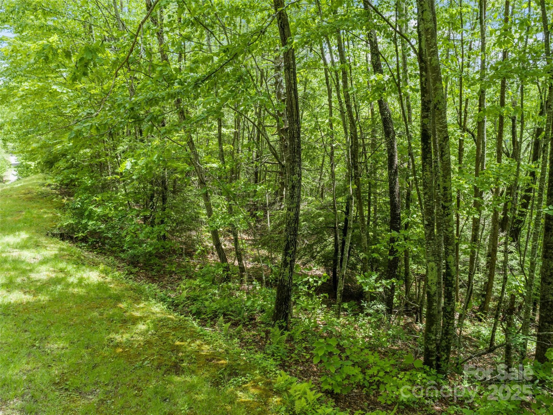 000 N Ridge Runner Road