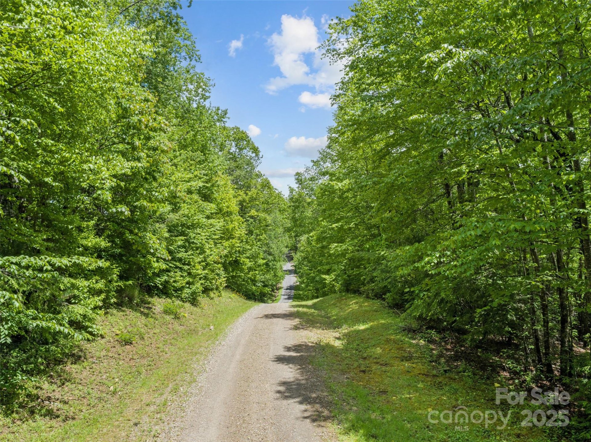 Property image 2 at 000 N Ridge Runner Road, Burnsville, NC 28714