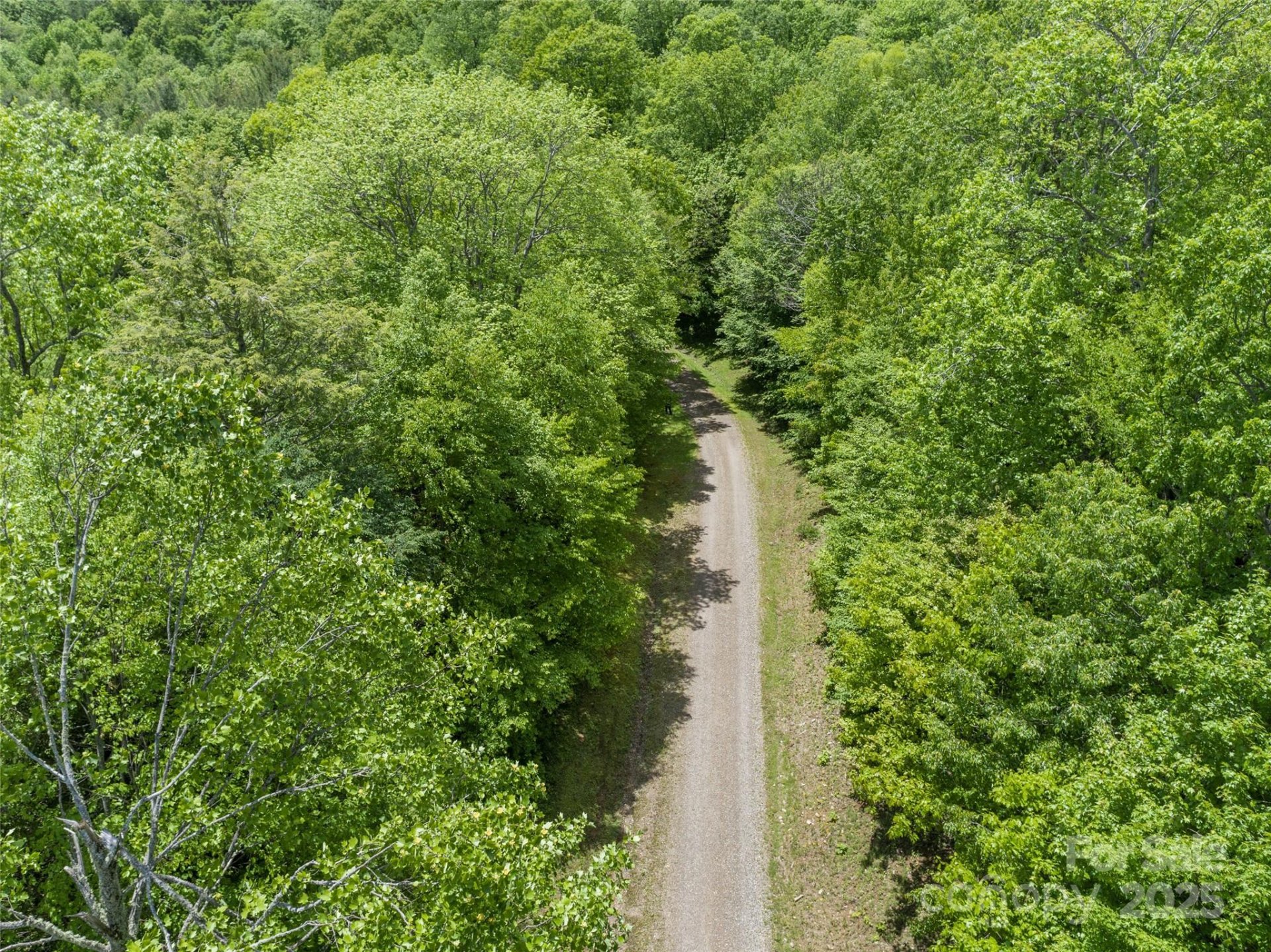 Property image 3 at 000 N Ridge Runner Road, Burnsville, NC 28714