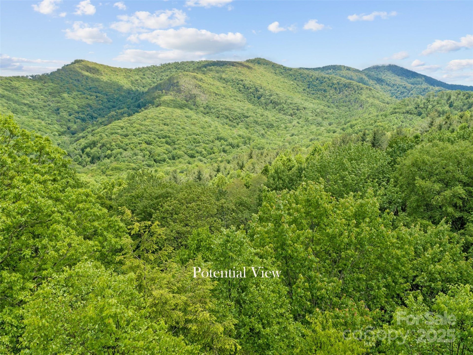 Property image 4 at 000 N Ridge Runner Road, Burnsville, NC 28714