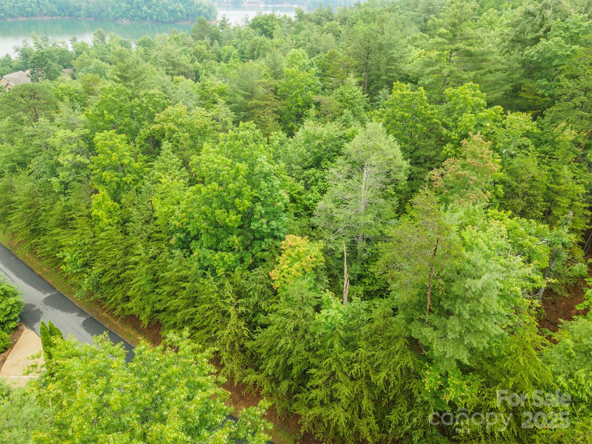 Property image 3 at 209 Harborside Drive, Nebo, NC 28761