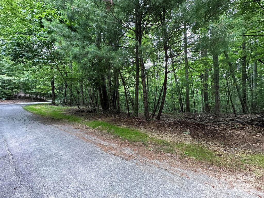Property image 2 at 00 Hickory Tree Lane, Hendersonville, NC 28739
