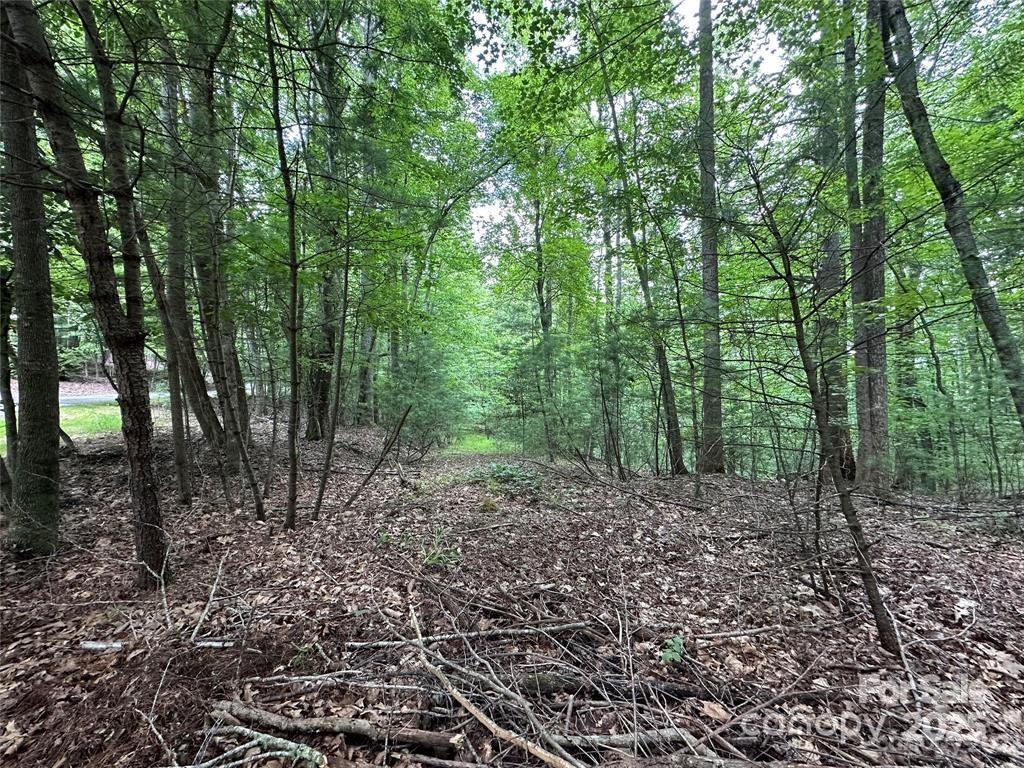 Property image 3 at 00 Hickory Tree Lane, Hendersonville, NC 28739