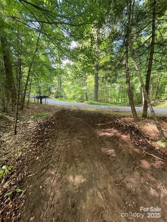 Property image 4 at 00 Hickory Tree Lane, Hendersonville, NC 28739