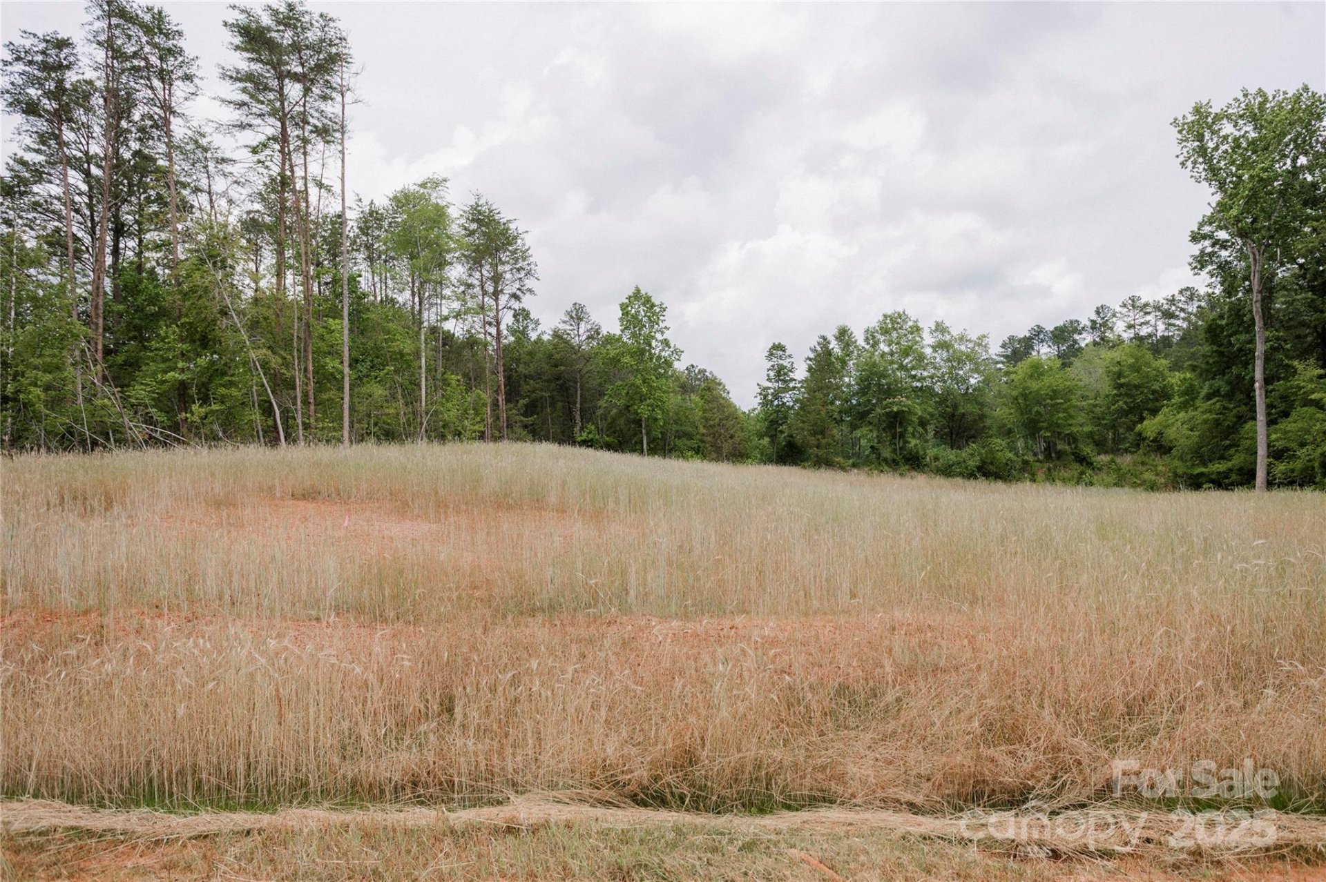 Property image 2 at Lot 6 American Bittern Way, Clover, SC 29710