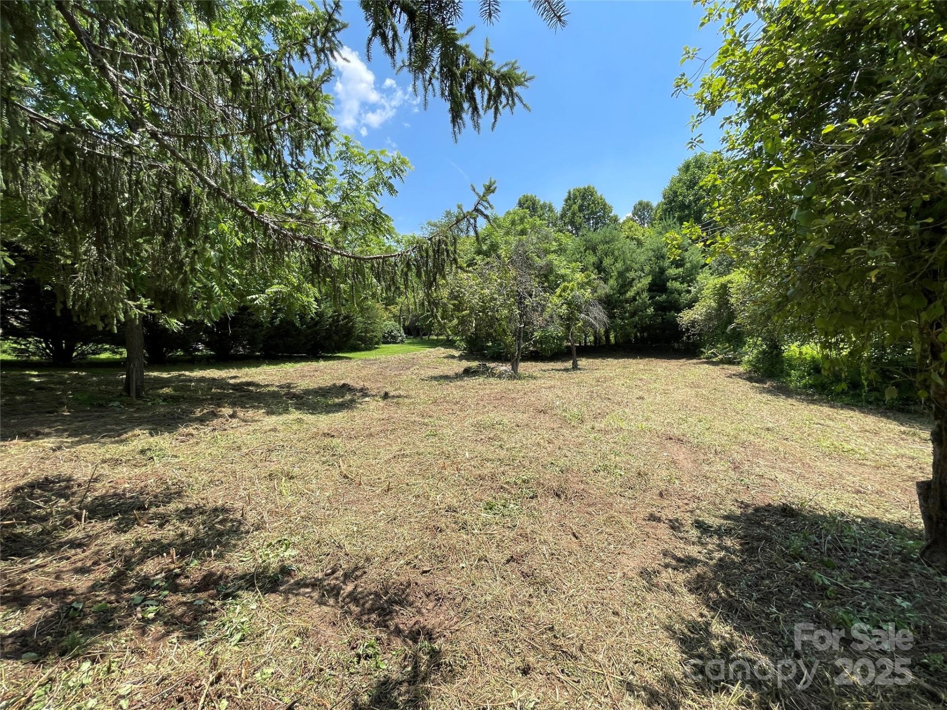 Property image 5 at 150 Founders Drive, Flat Rock, NC 28731