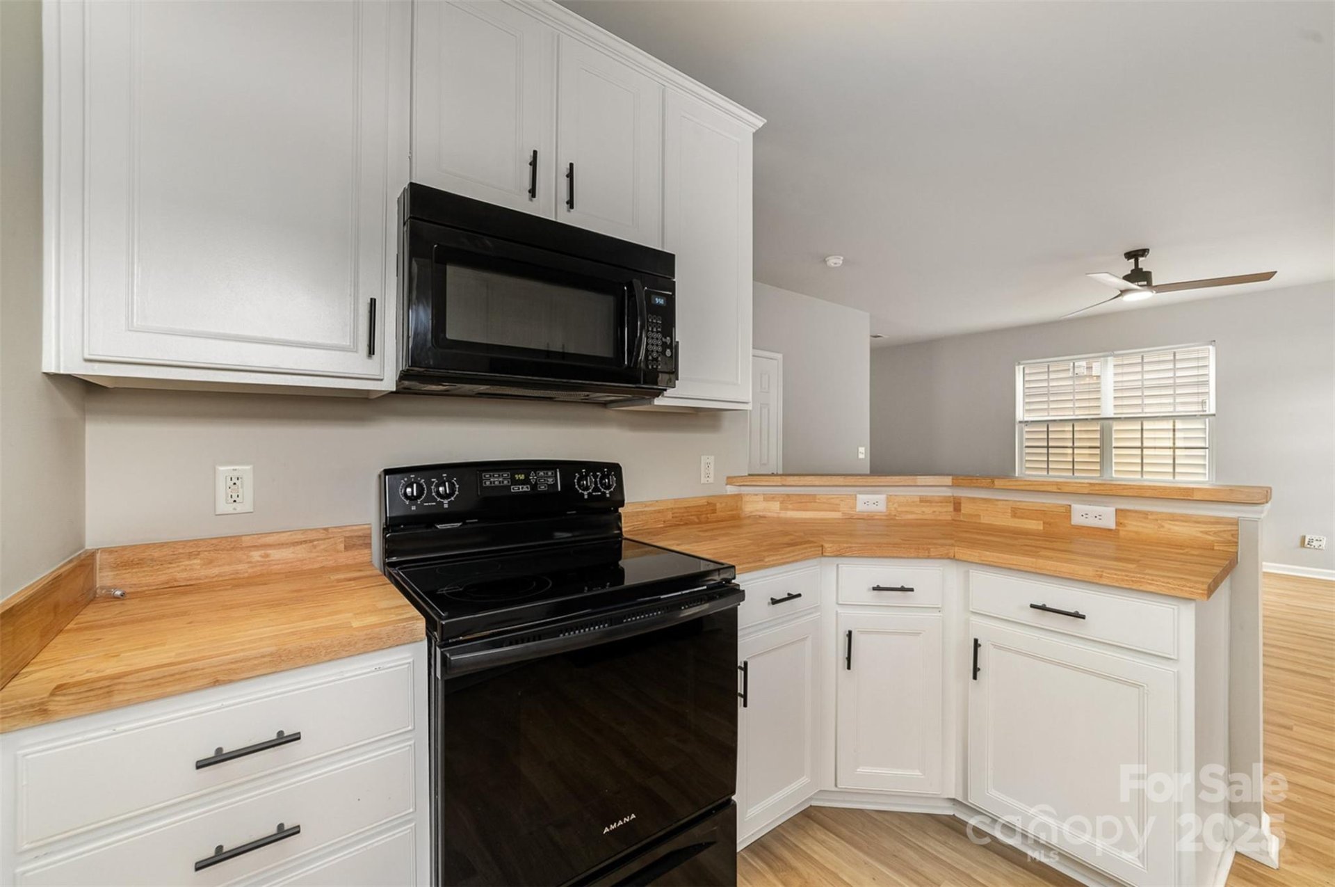 Property image 3 at 9630 Turning Wheel Drive, Charlotte, NC 28214