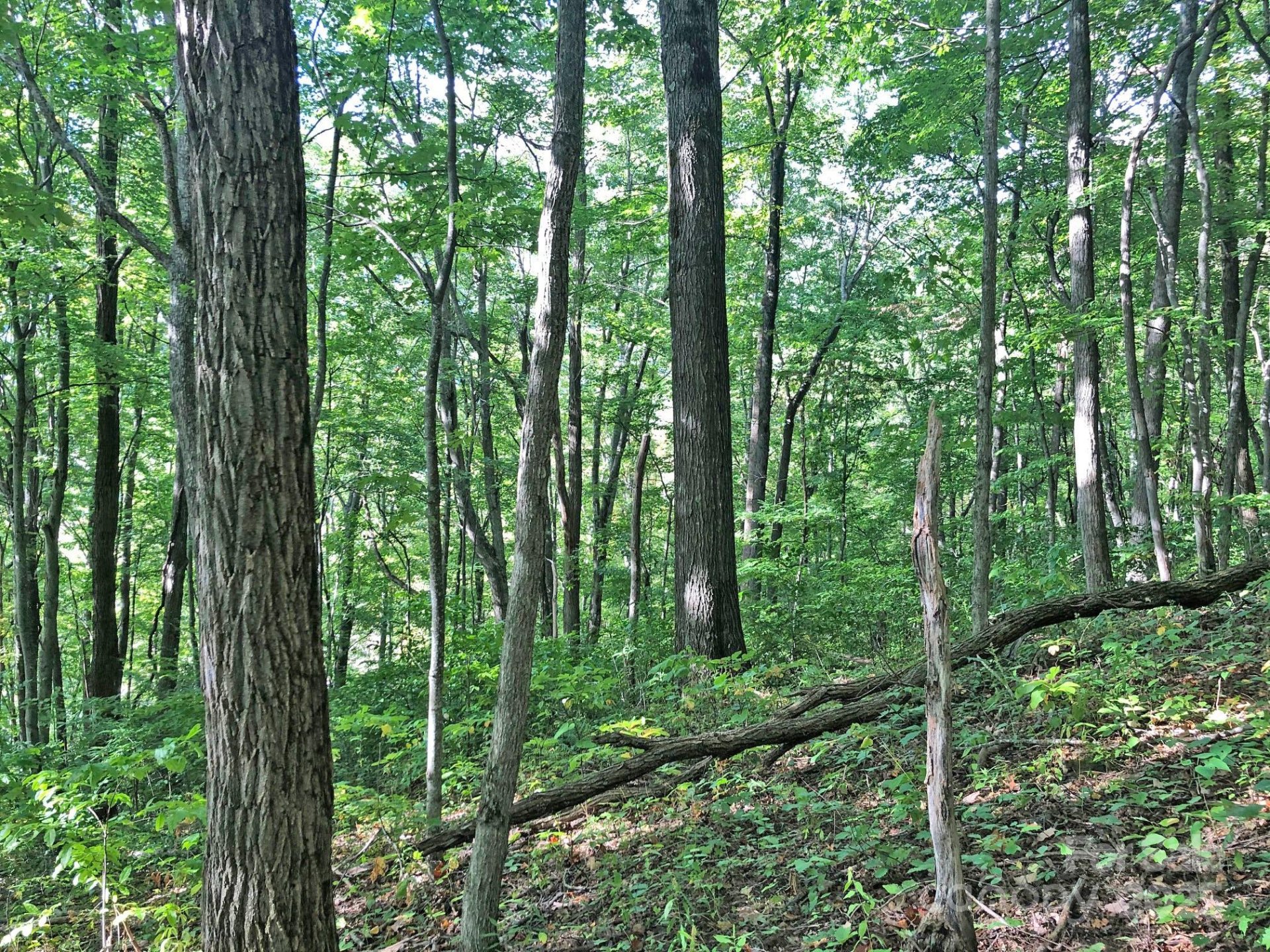 Property at 112 113 Grouse Road, Clyde, NC 28721