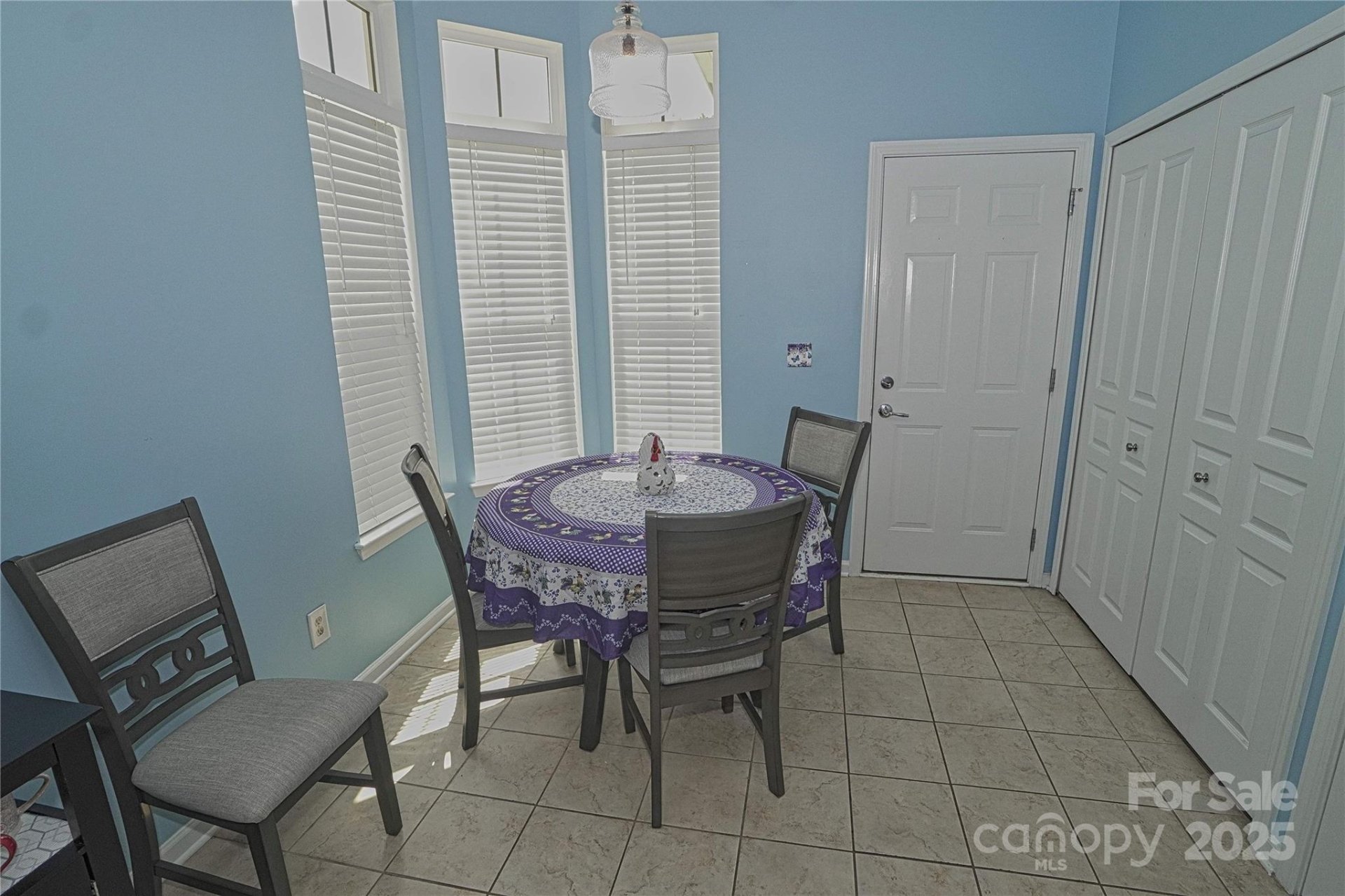Property image 4 at 19182 Mallard Drive, Fort Mill, SC 29707