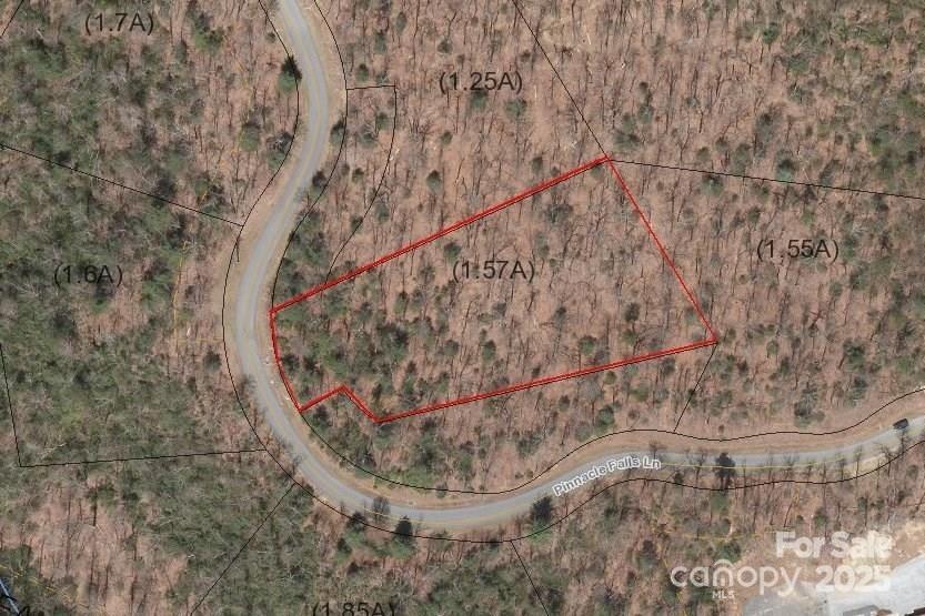 Property image 1 at 0 Pinnacle Falls Lane, Zirconia, NC 28790