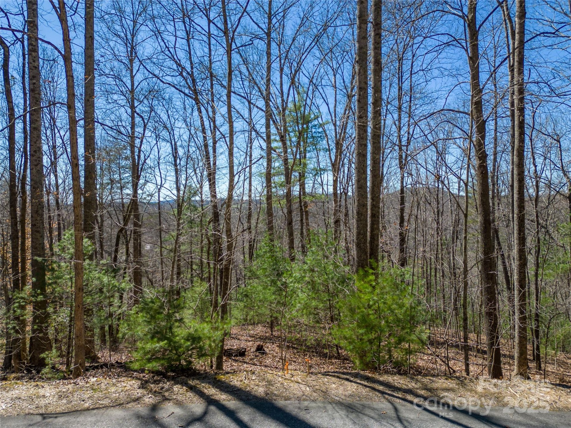 132 Overlook Park Drive