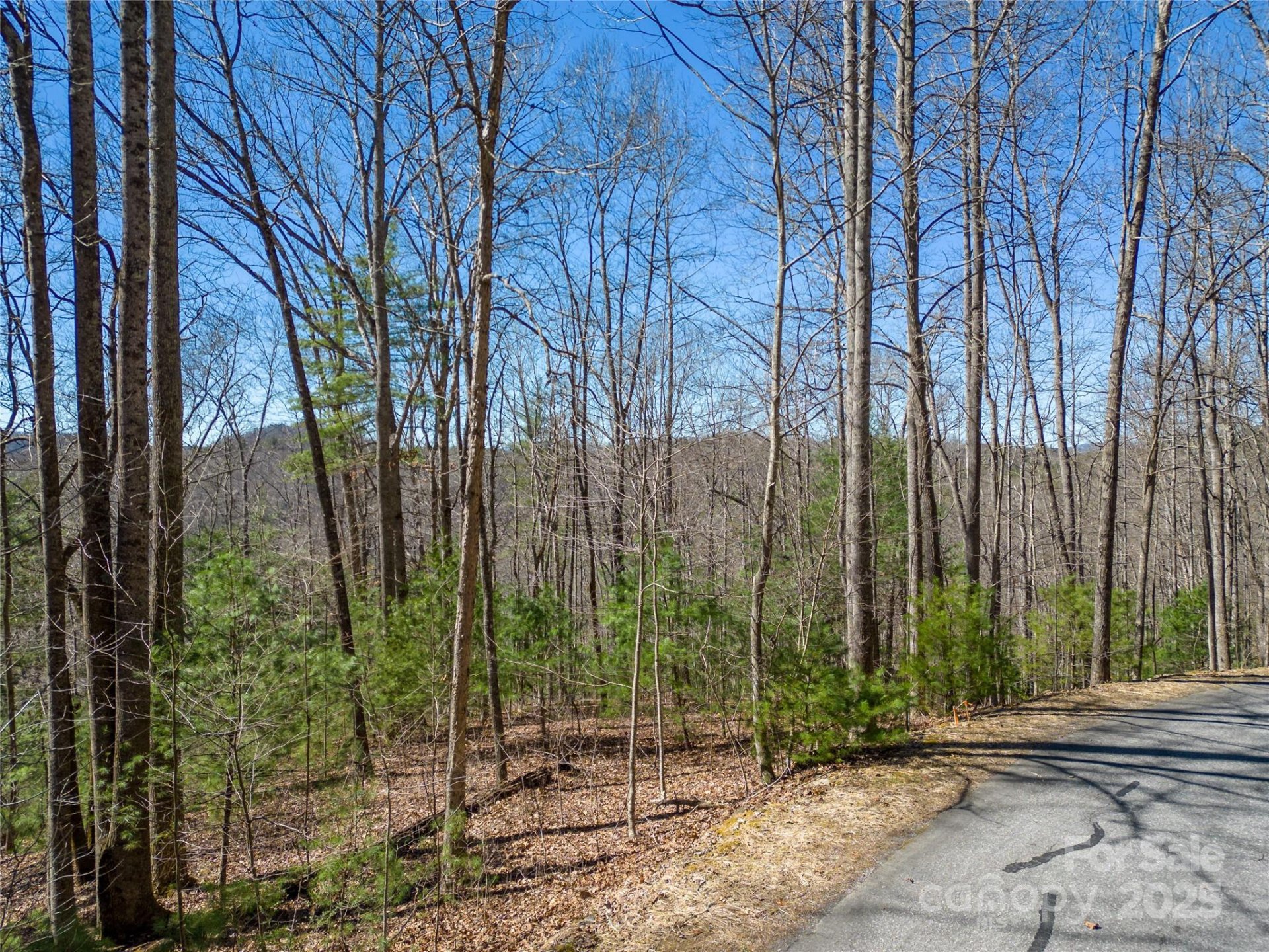 Property image 4 at 132 Overlook Park Drive, Hendersonville, NC 28792
