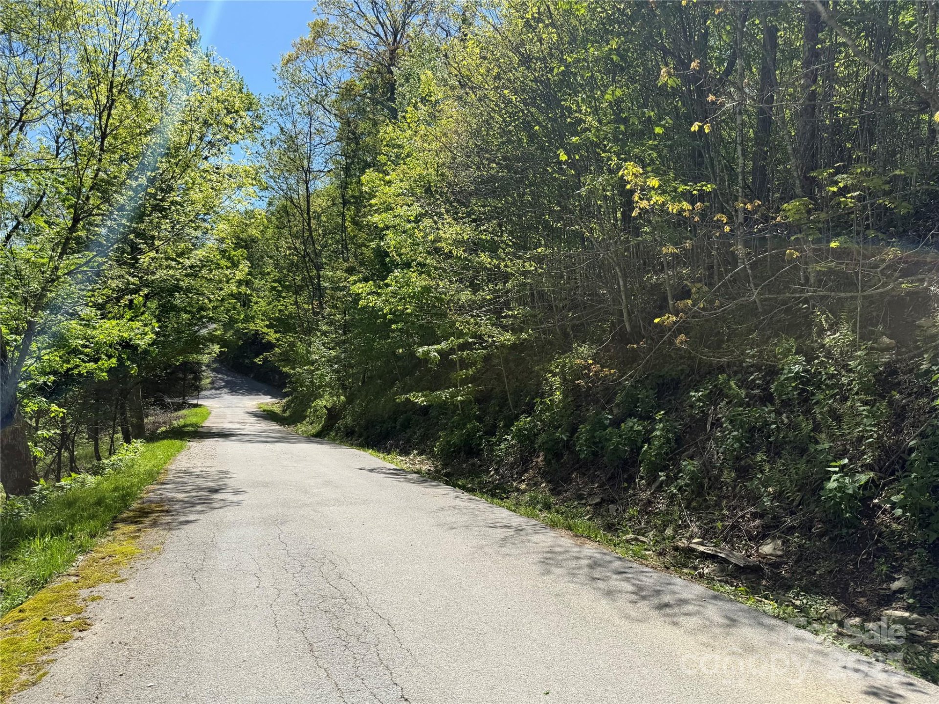 Property image 4 at 6 Wakeman Way, Banner Elk, NC 28604