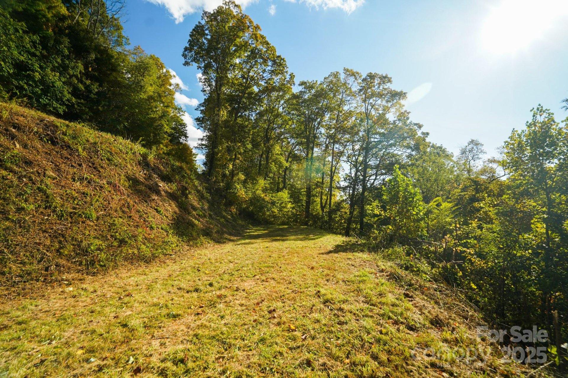 Property image 4 at 9999 Falconwood Lane, Asheville, NC 28804