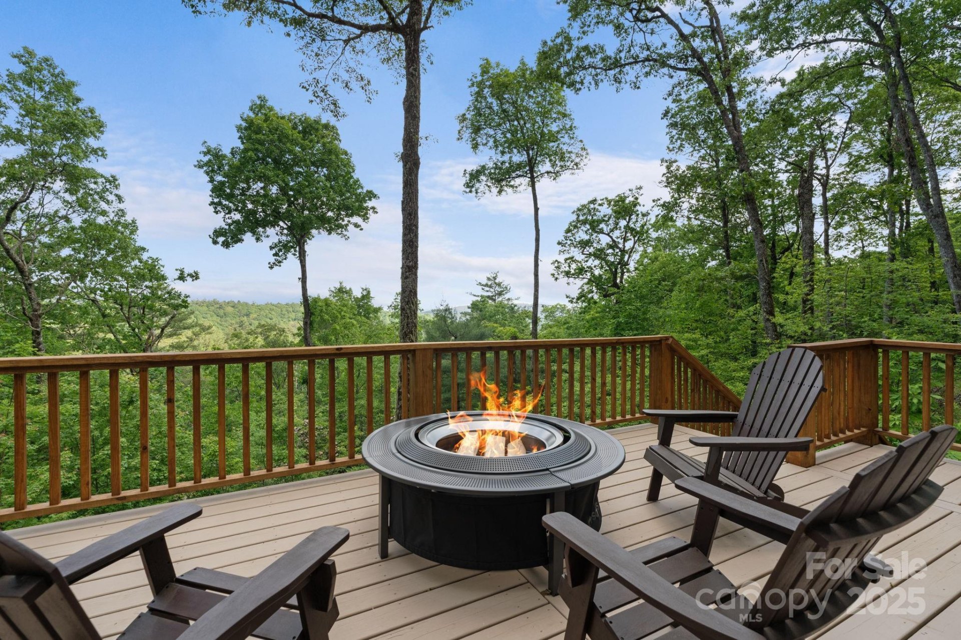 Property image 3 at 48 Bearfoot Lane, Highlands, NC 28741