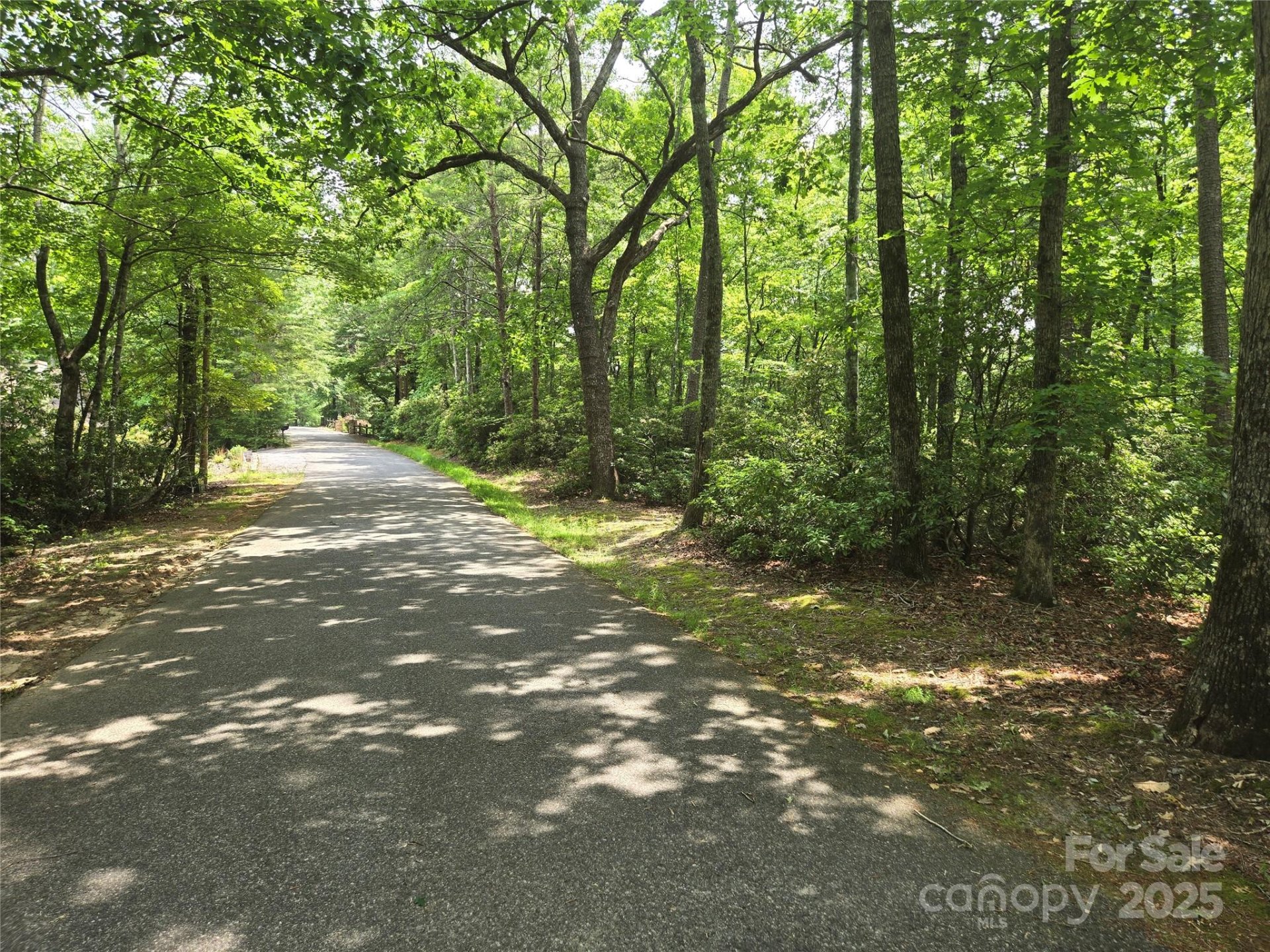 Property image 2 at Lot 159 Sullivan Lane, Lake Lure, NC 28746