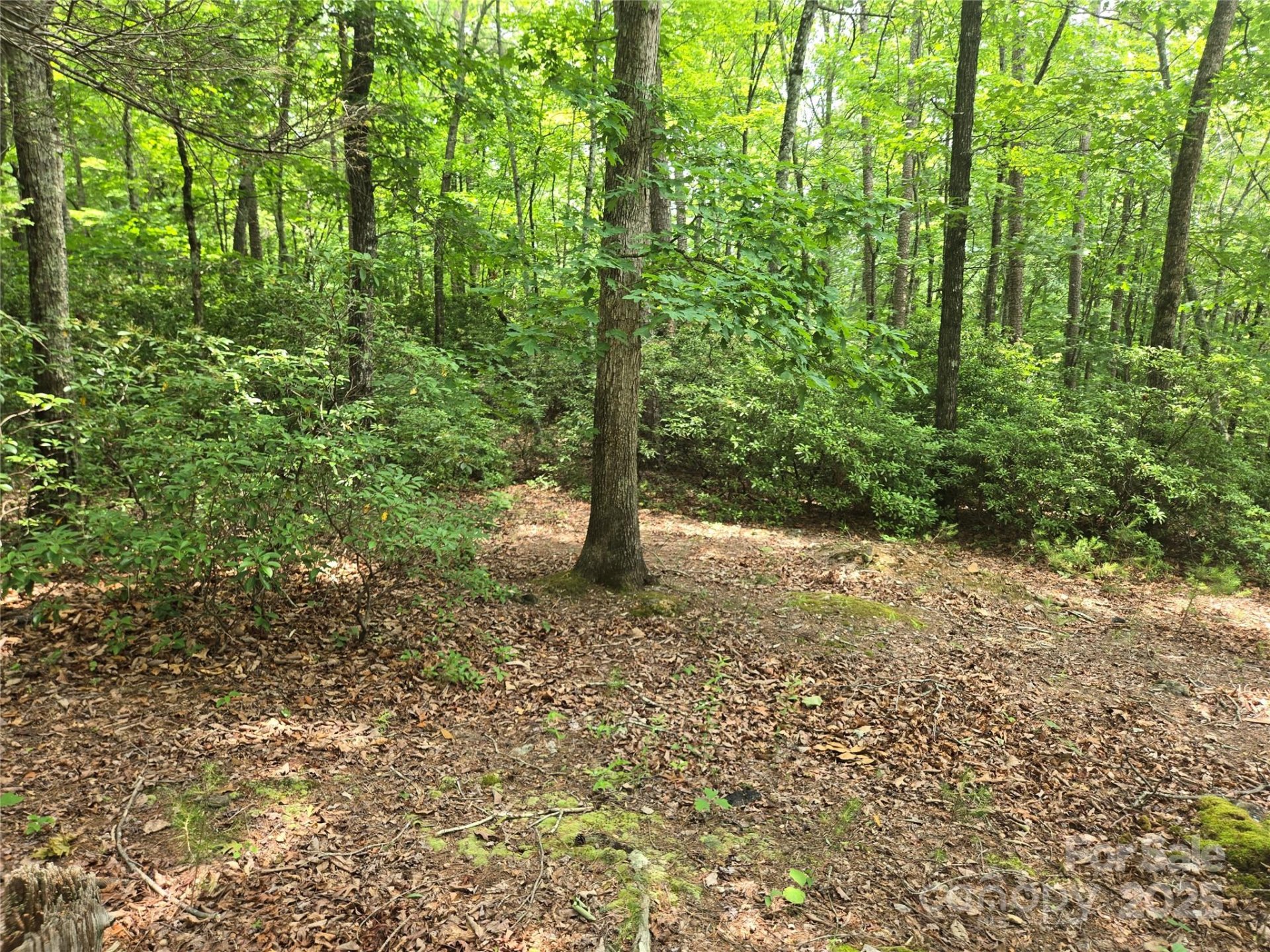 Property image 3 at Lot 159 Sullivan Lane, Lake Lure, NC 28746
