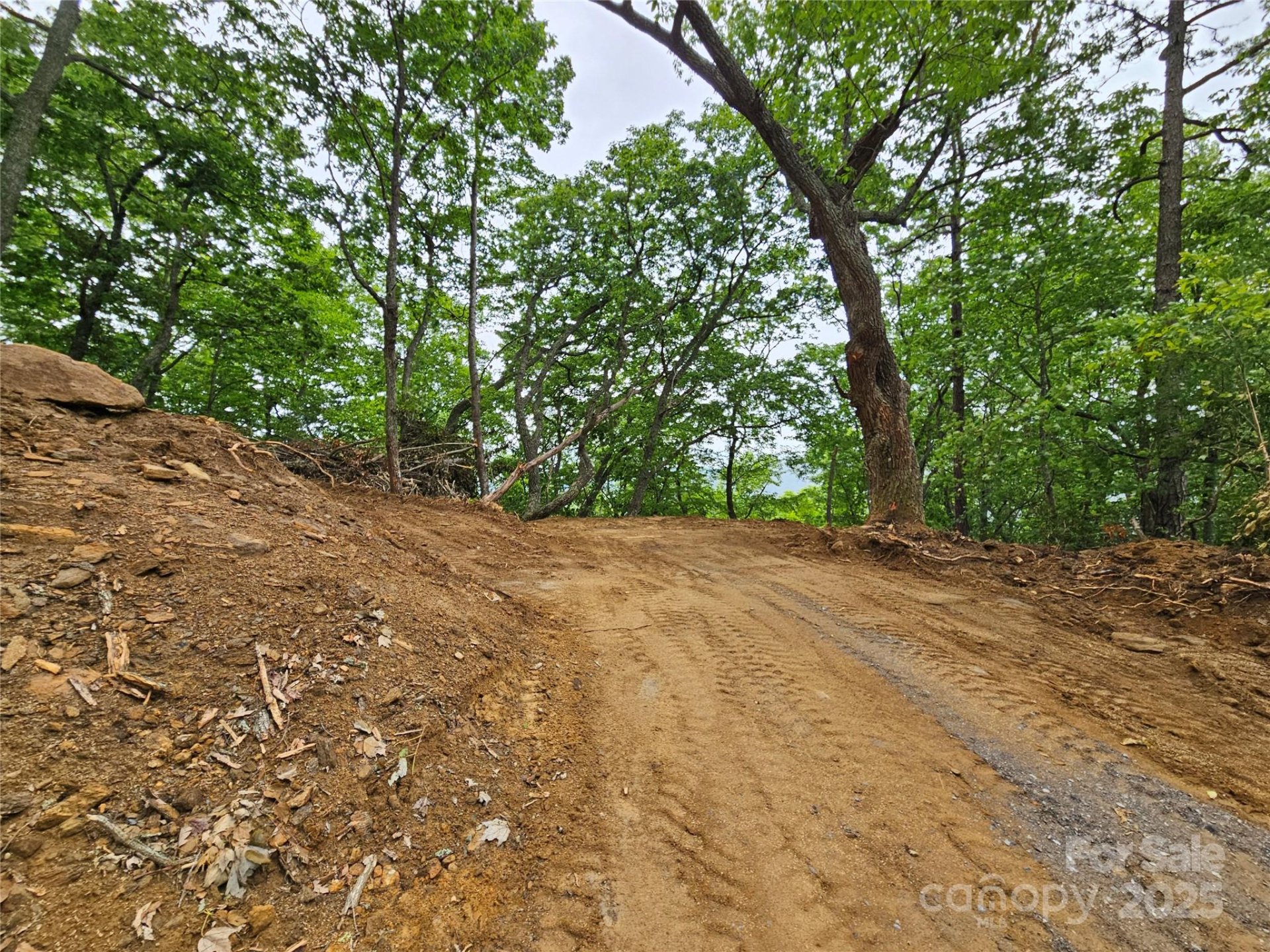 Property image 5 at 00 Laurel Ridge Road, Maggie Valley, NC 28751