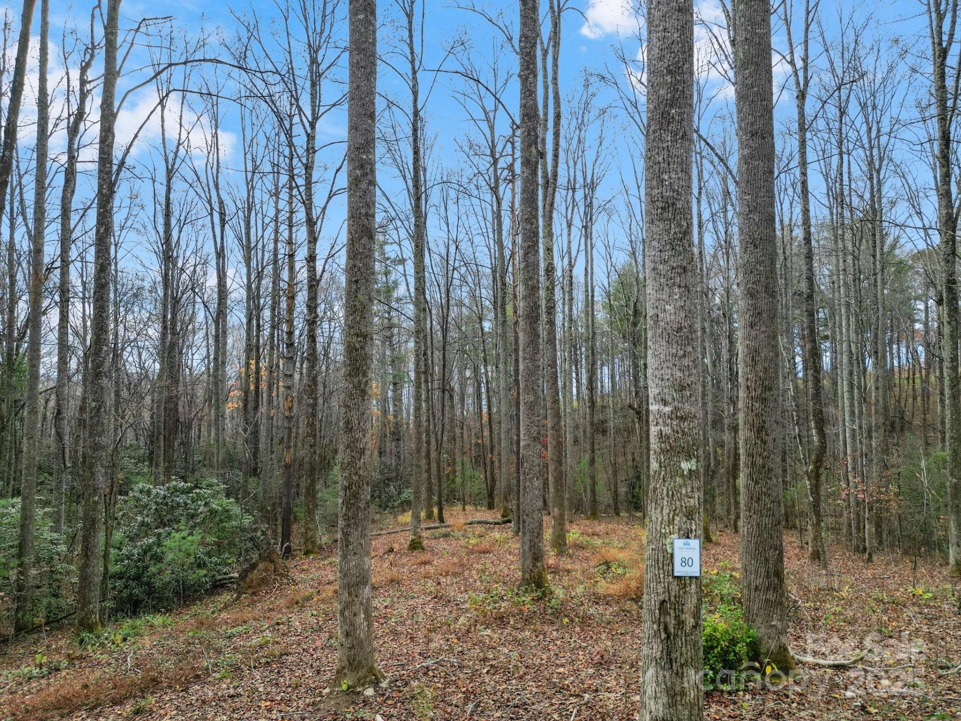 Lot 80 Mountain Grove Lane