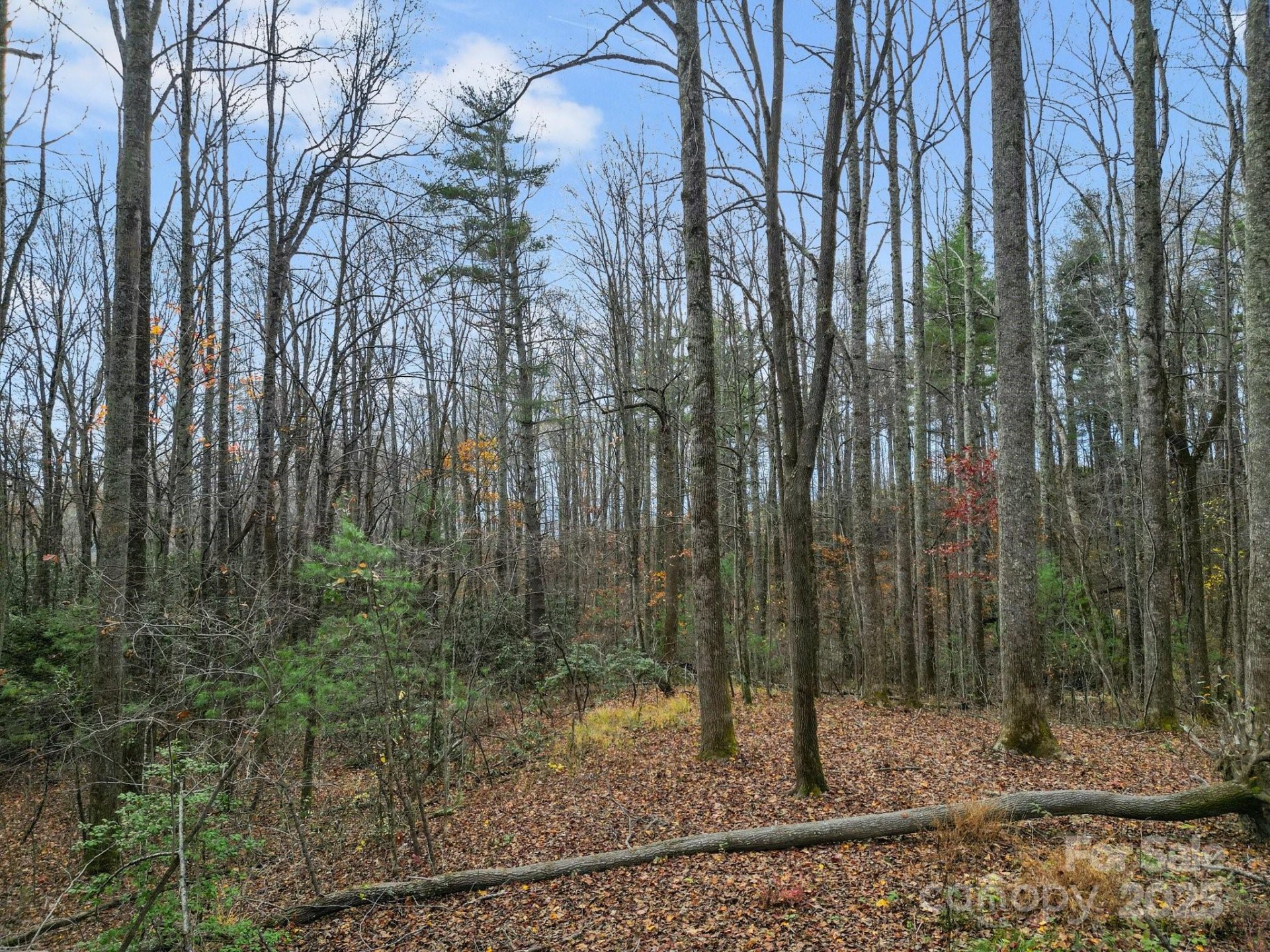 Property image 4 at Lot 80 Mountain Grove Lane, Fletcher, NC 28732