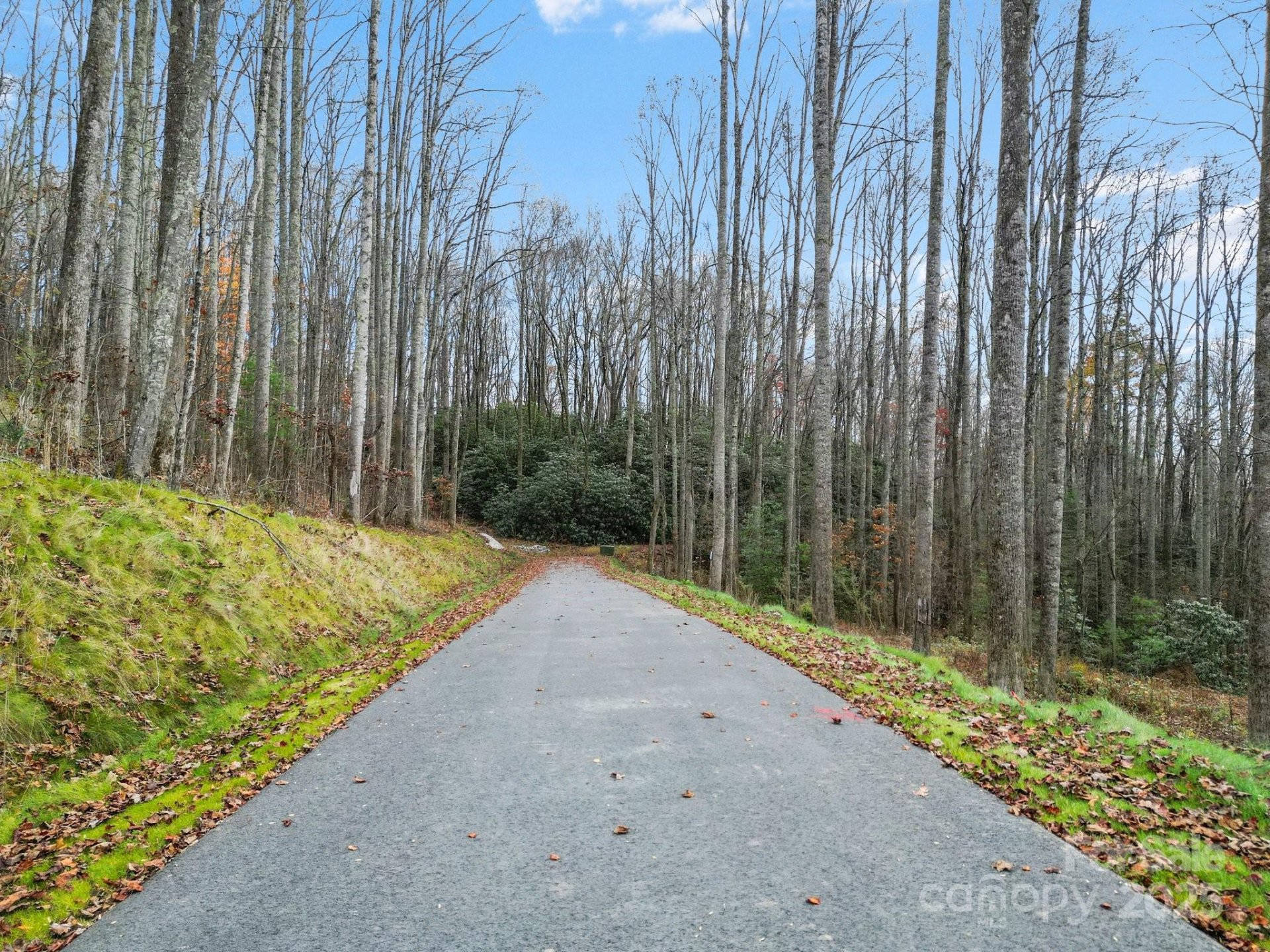 Property image 5 at Lot 80 Mountain Grove Lane, Fletcher, NC 28732