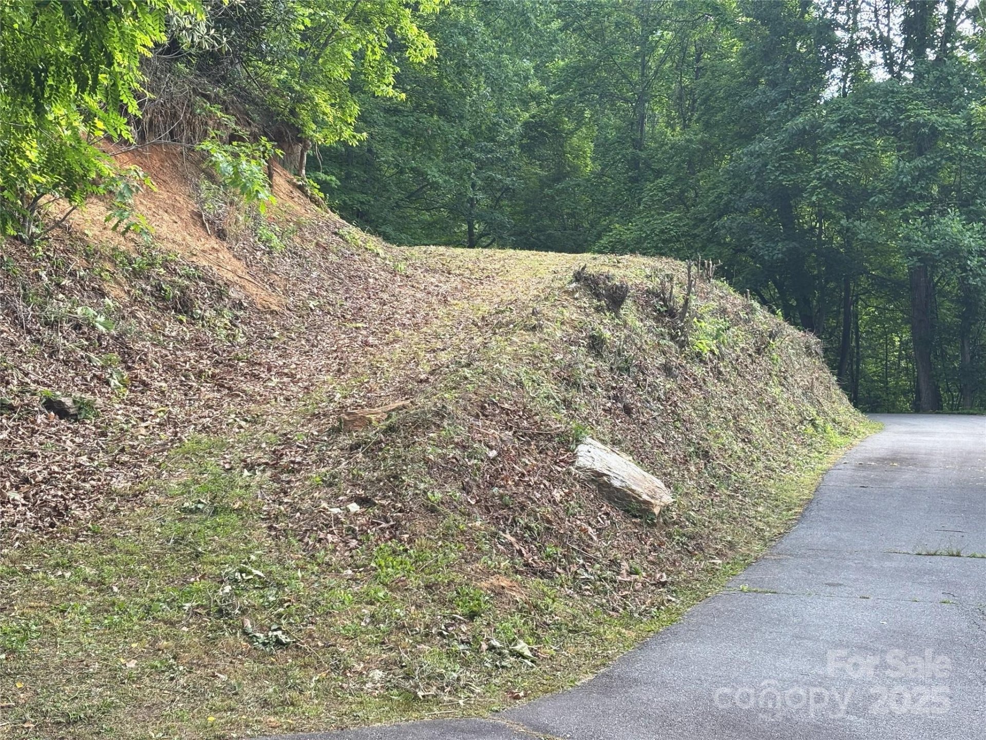 Property image 4 at 00 Lot 11 Valley View Drive, Maggie Valley, NC 28751