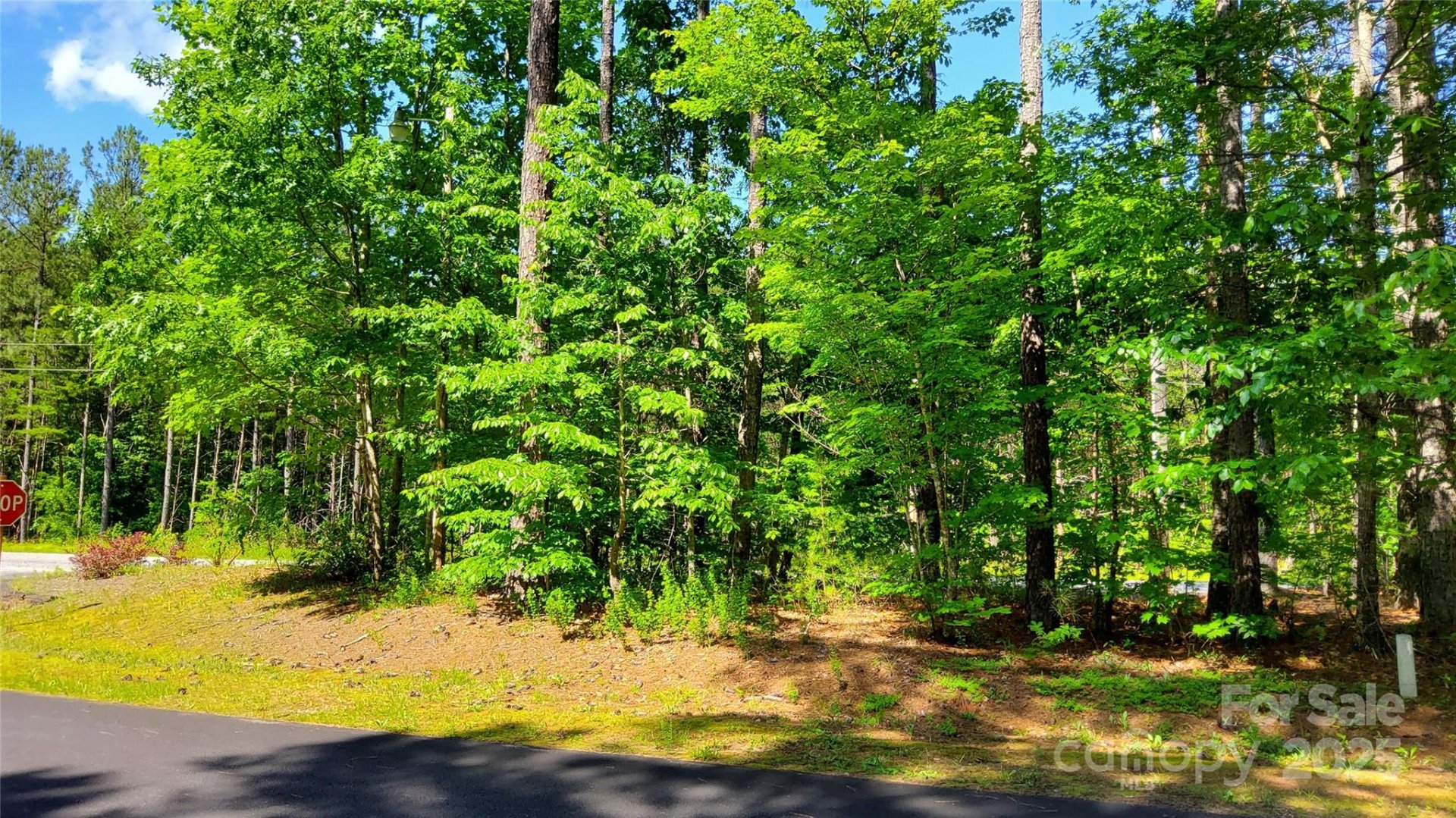 Property image 2 at 0000 Loblolly Lane, Mill Spring, NC 28756