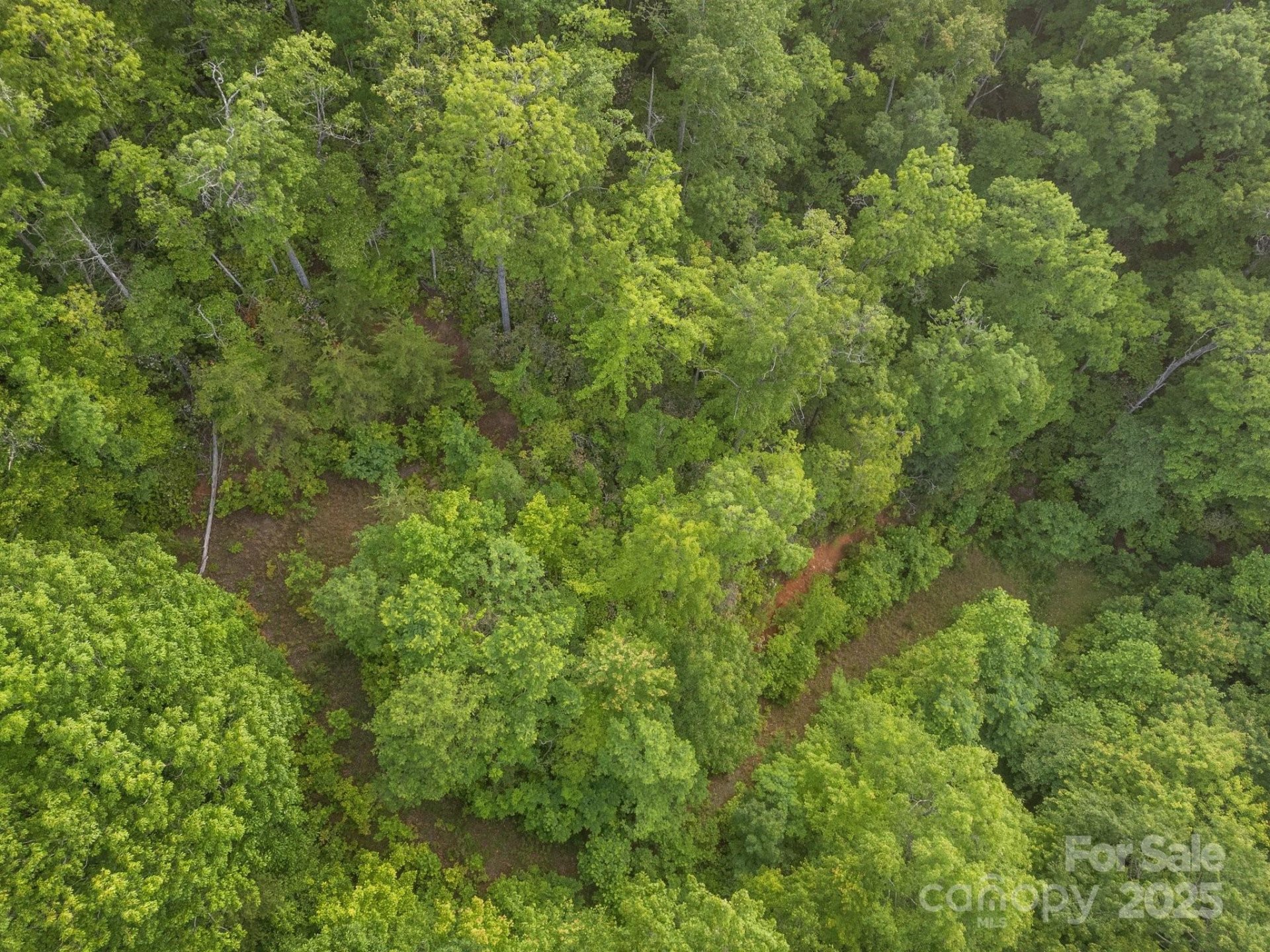 Property image 5 at 10 Turkey Trot Trail, Sylva, NC 28779