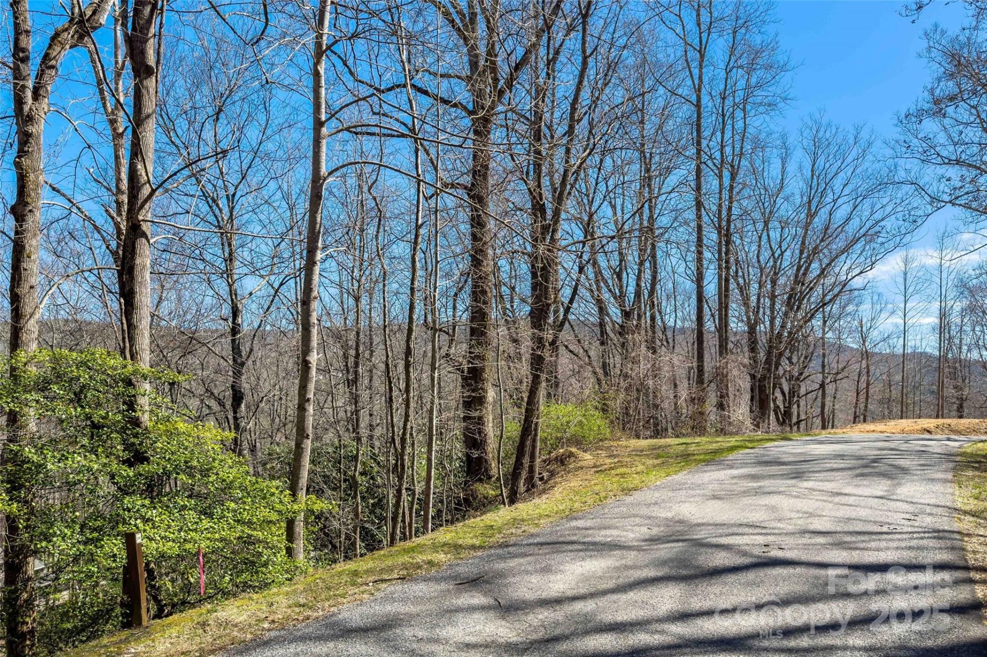 Property image 3 at Lot 158 Hunnicut Mountain Road, Marion, NC 28752