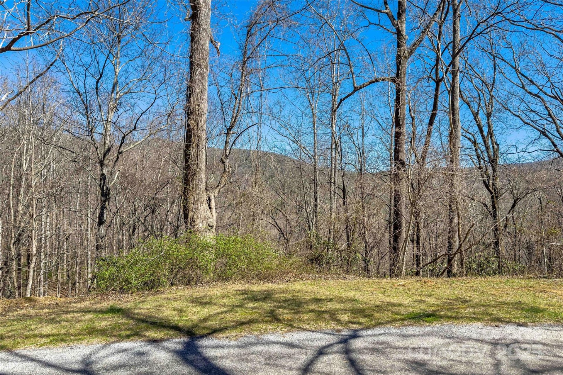 Property image 4 at Lot 158 Hunnicut Mountain Road, Marion, NC 28752