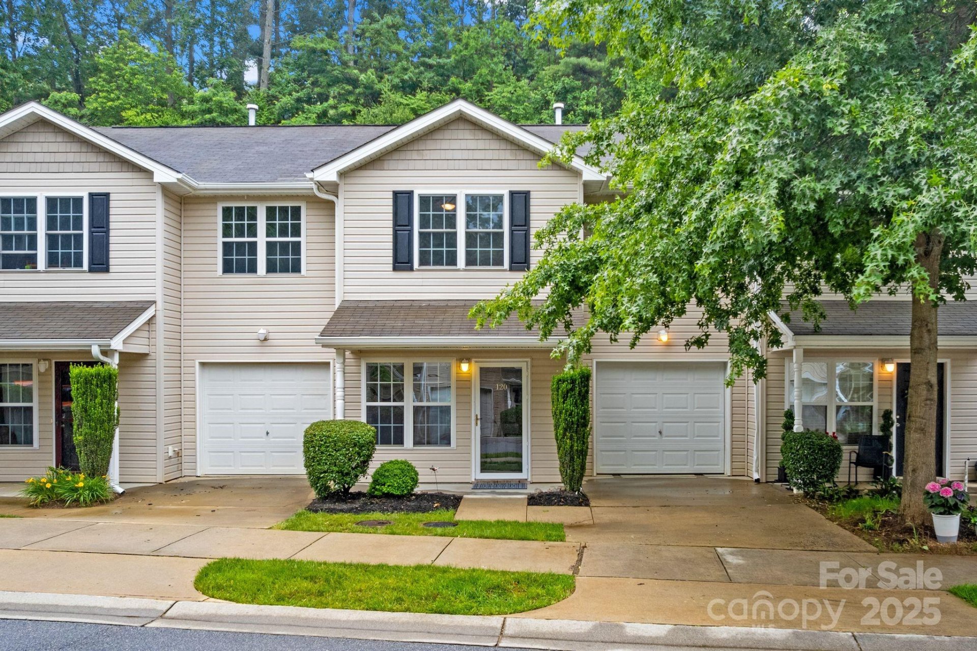 Property image 4 at 120 Alpine Ridge Drive, Asheville, NC 28803