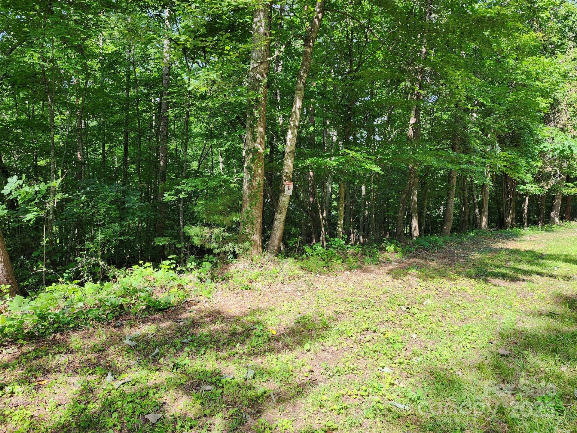 Property image 5 at 0000 Hayes Road, Columbus, NC 28722