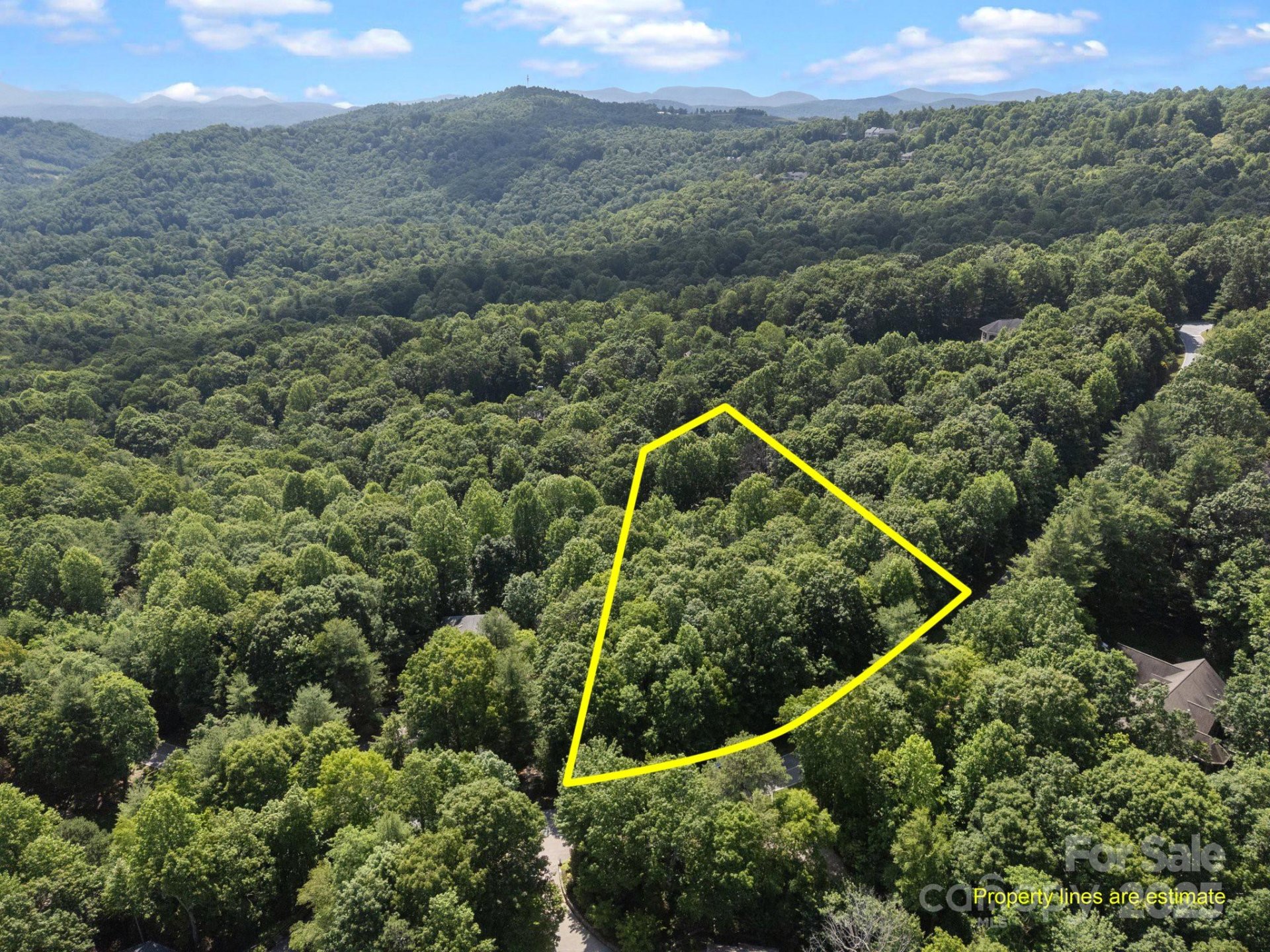 Property image 2 at 360 Kenmure Drive, Flat Rock, NC 28731